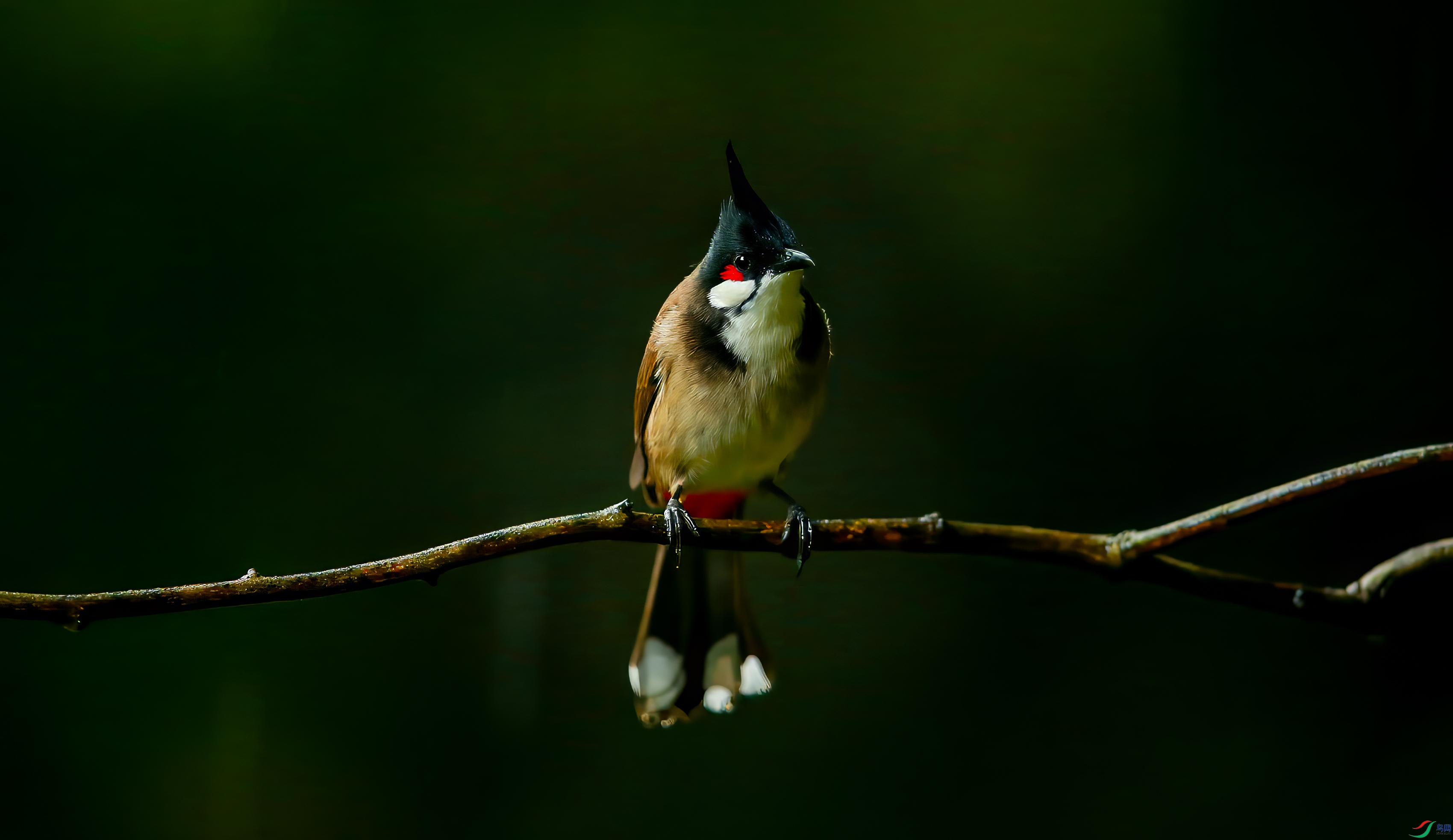 AY8Q0753.jpg