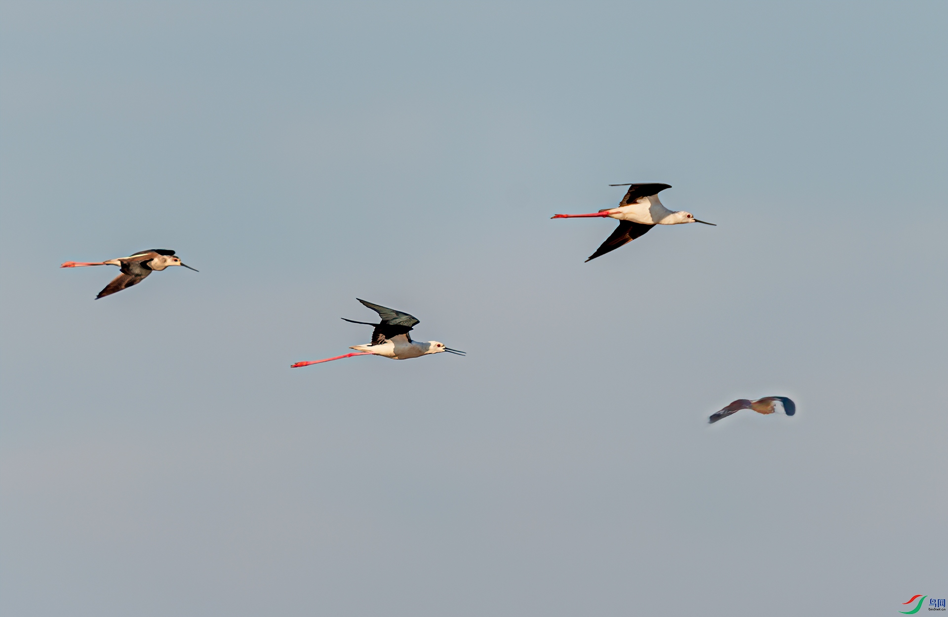 DSC_3288-11.jpg