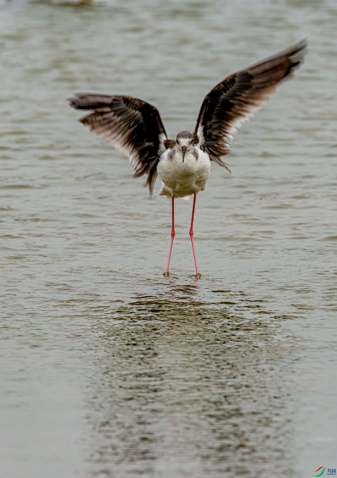 DSC_3616-1.jpg