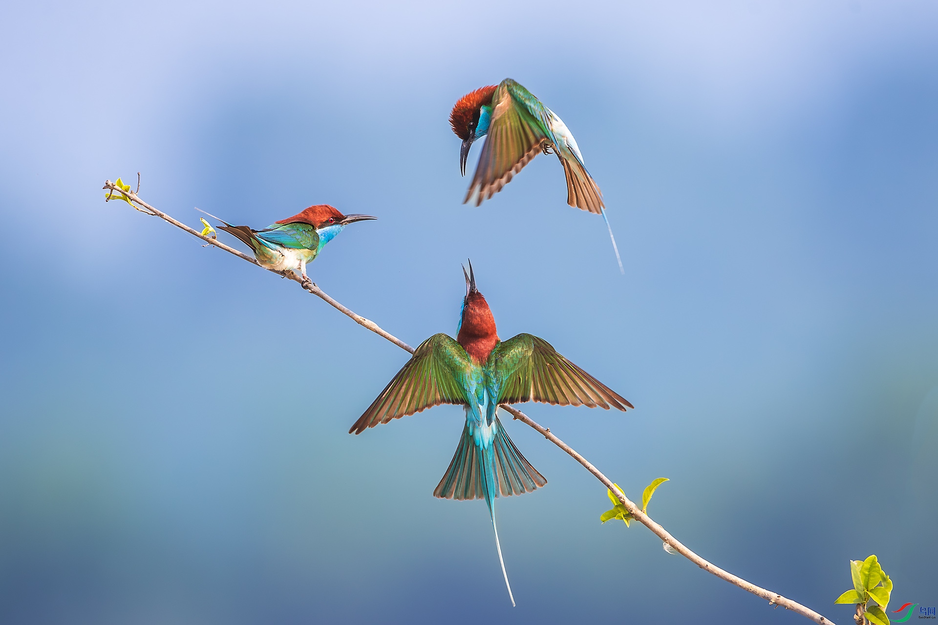 BU3I3148 ����.jpg