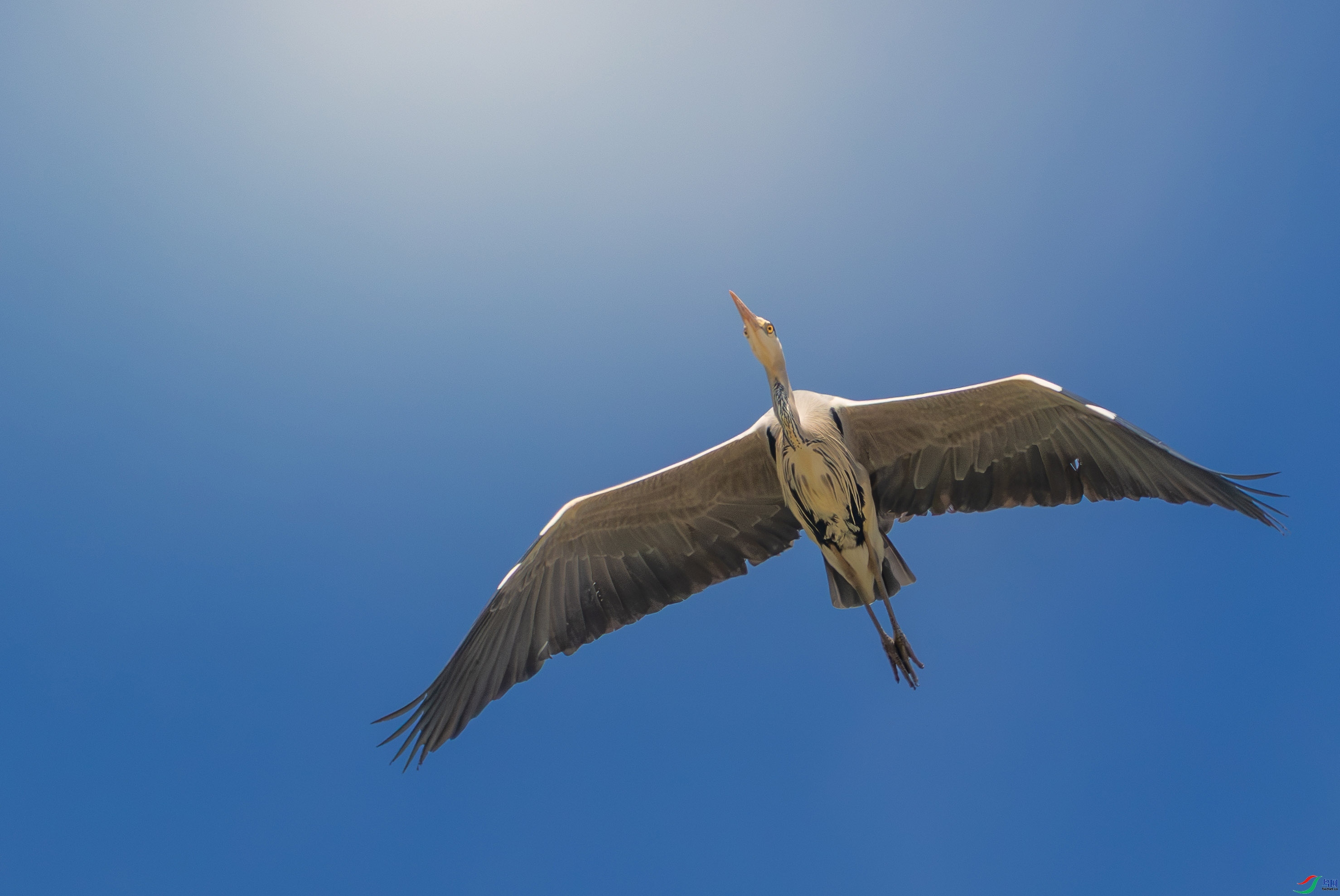 4.3 ����˶����ʦ��Ʒ  ־���Զ  �ٻ�2026��4��3�ջ�Ա��ҳ����.jpg