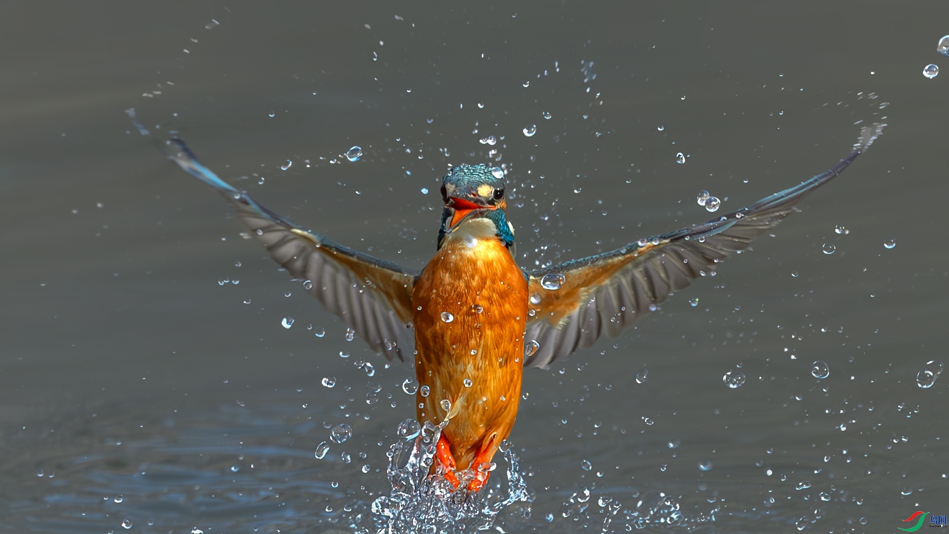 4.4 ��Ů��·����ʦ��Ʒ  ����߸�  �ٻ�2026��4��4�հ�����ҳ����.jpg