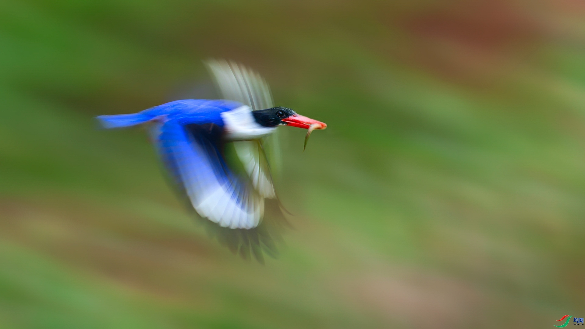 4.4 ��������ʦ��Ʒ  �����  �ٻ�2026��4��4����Ӱʦ��ҳ����.jpg