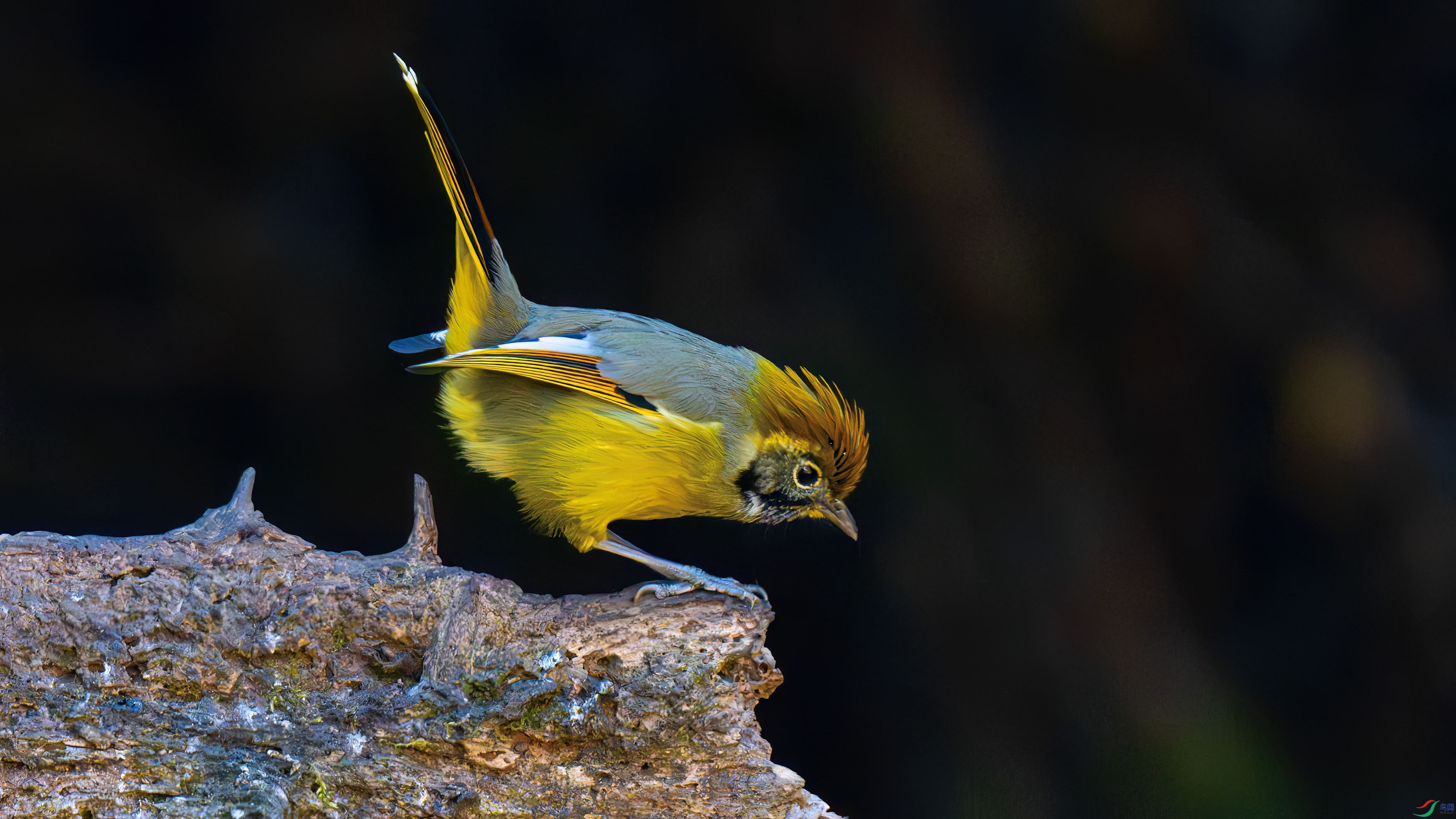 DSC_1129.jpg