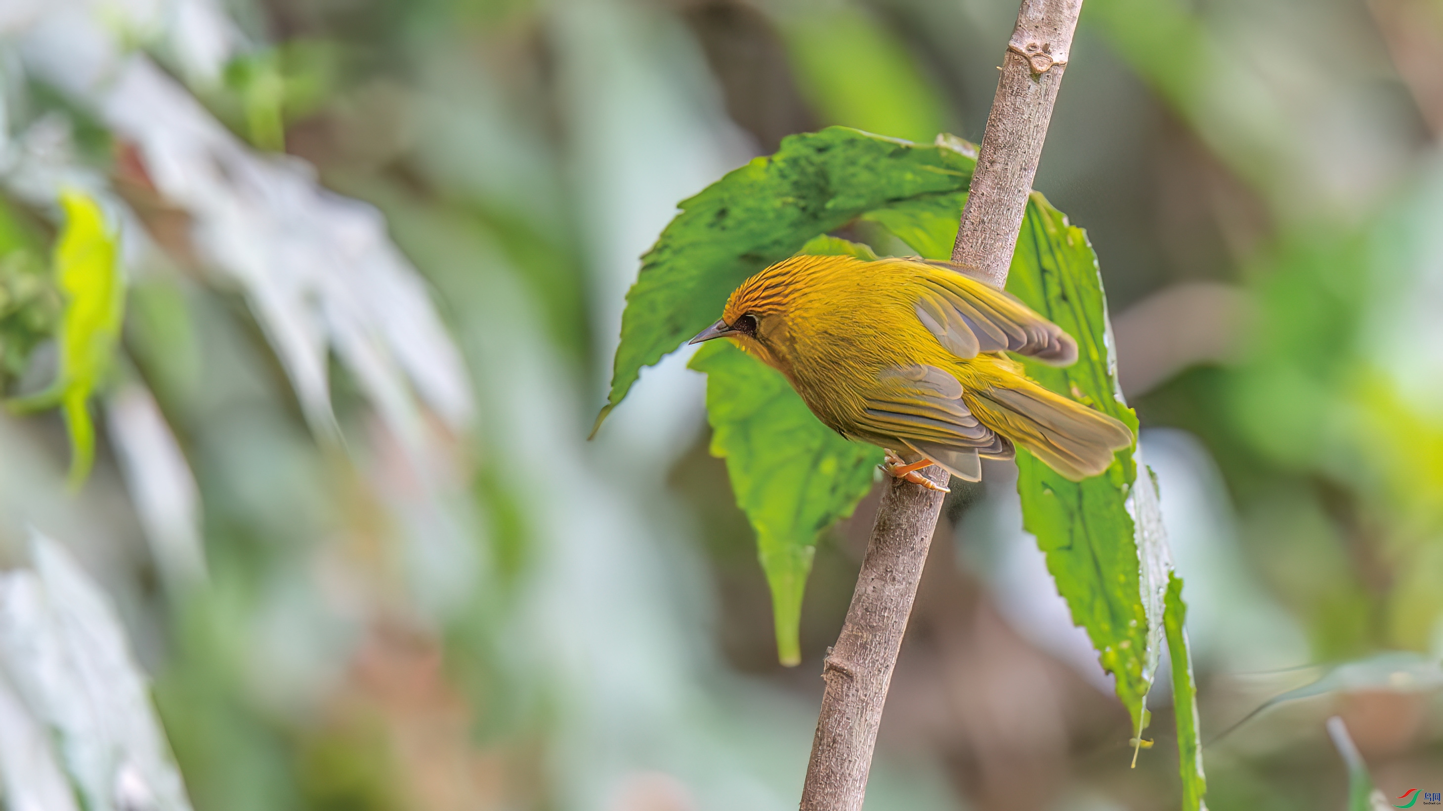 DSC_3807.jpg