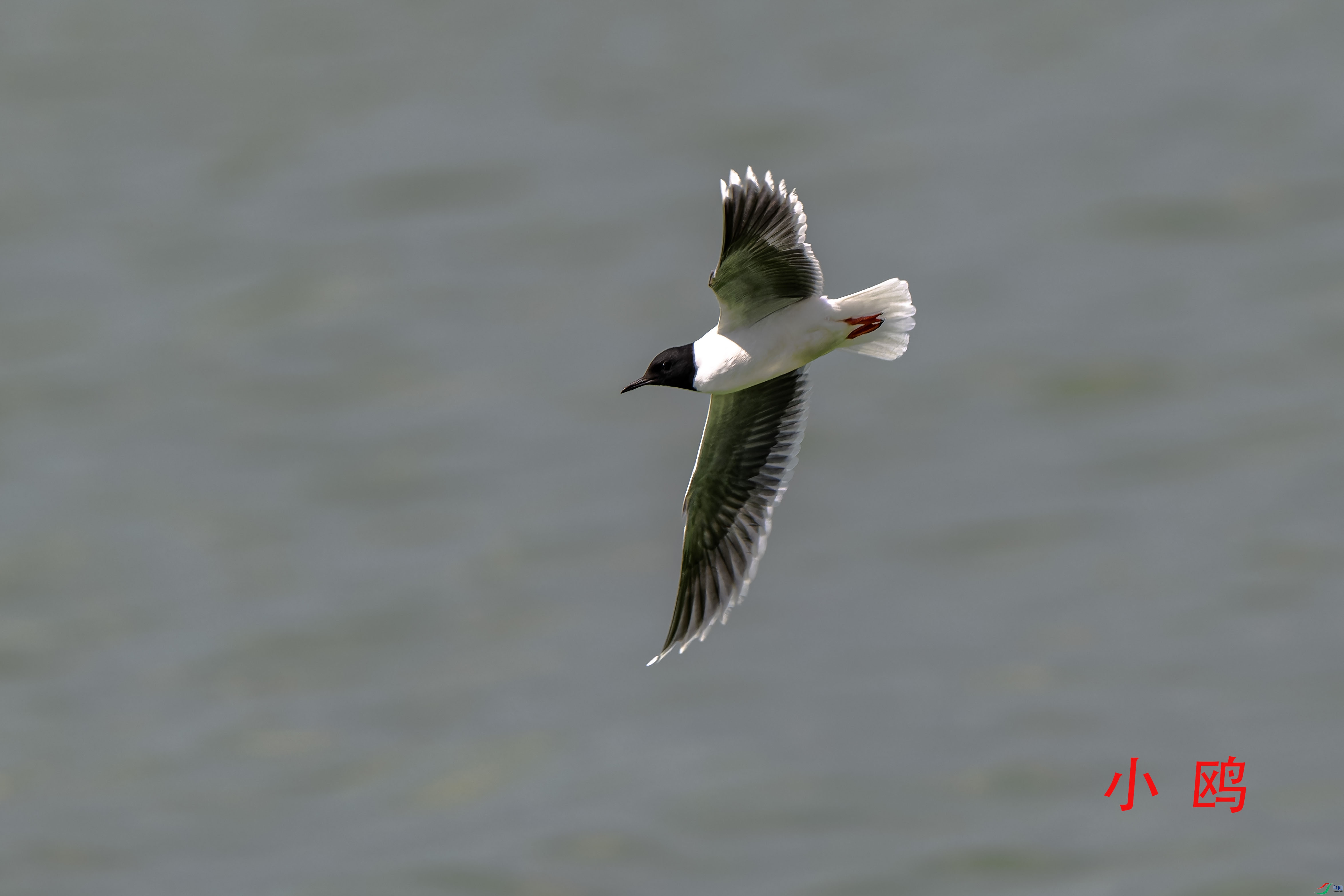 DSC_0011-NEF_DxO_DeepPRIMEXD ���� 2.jpg