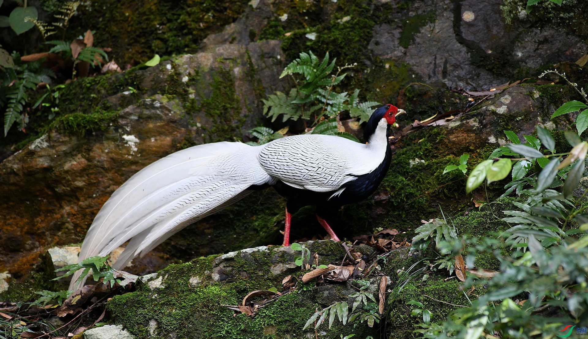 DSC_0825.jpg