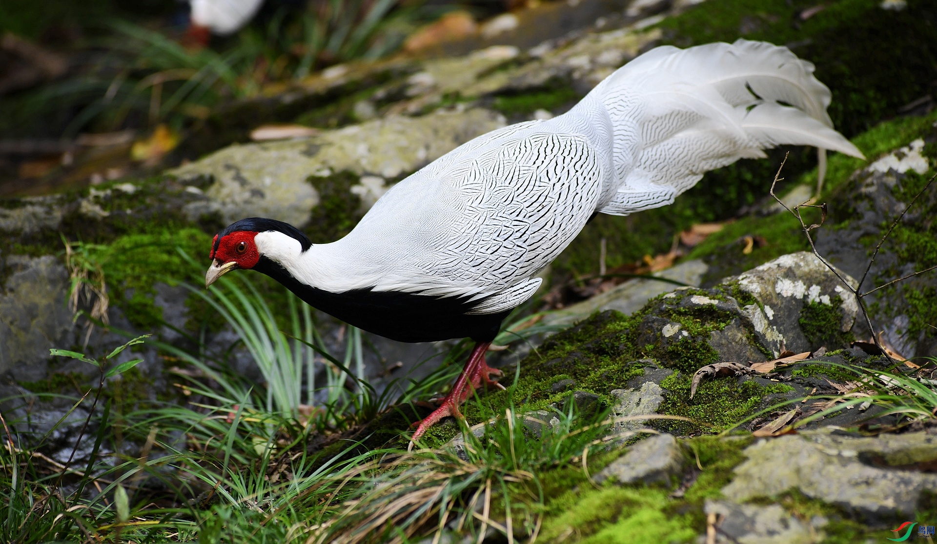DSC_0628.jpg