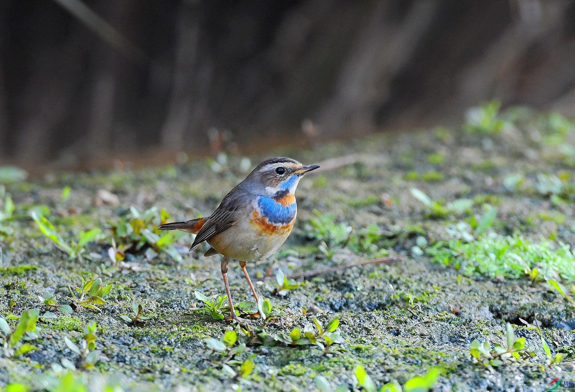 DSC_9439.jpg