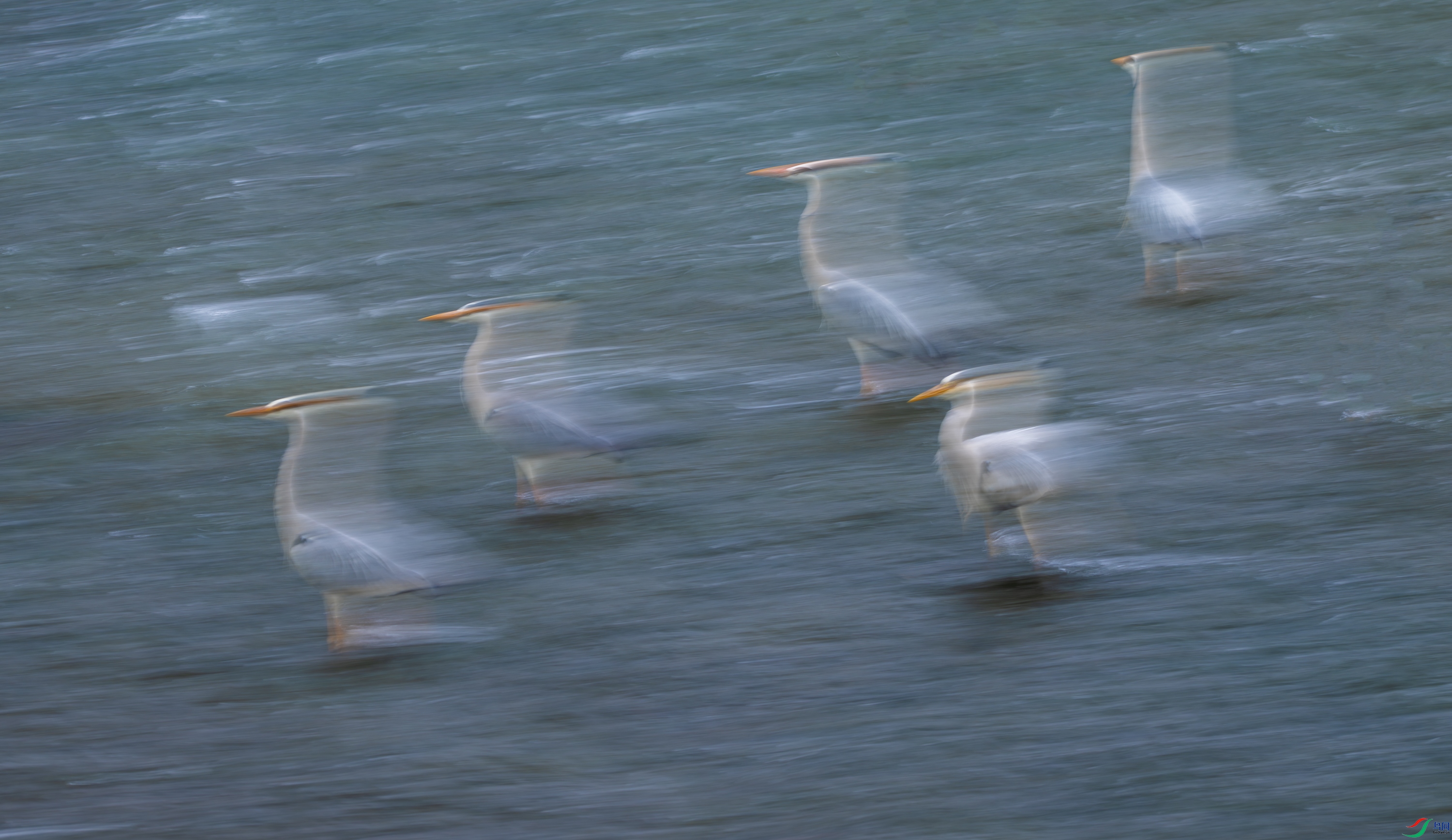 DSC_3362-11.jpg
