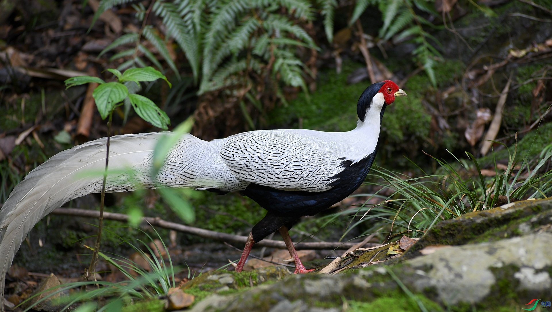 DSC_0331.jpg