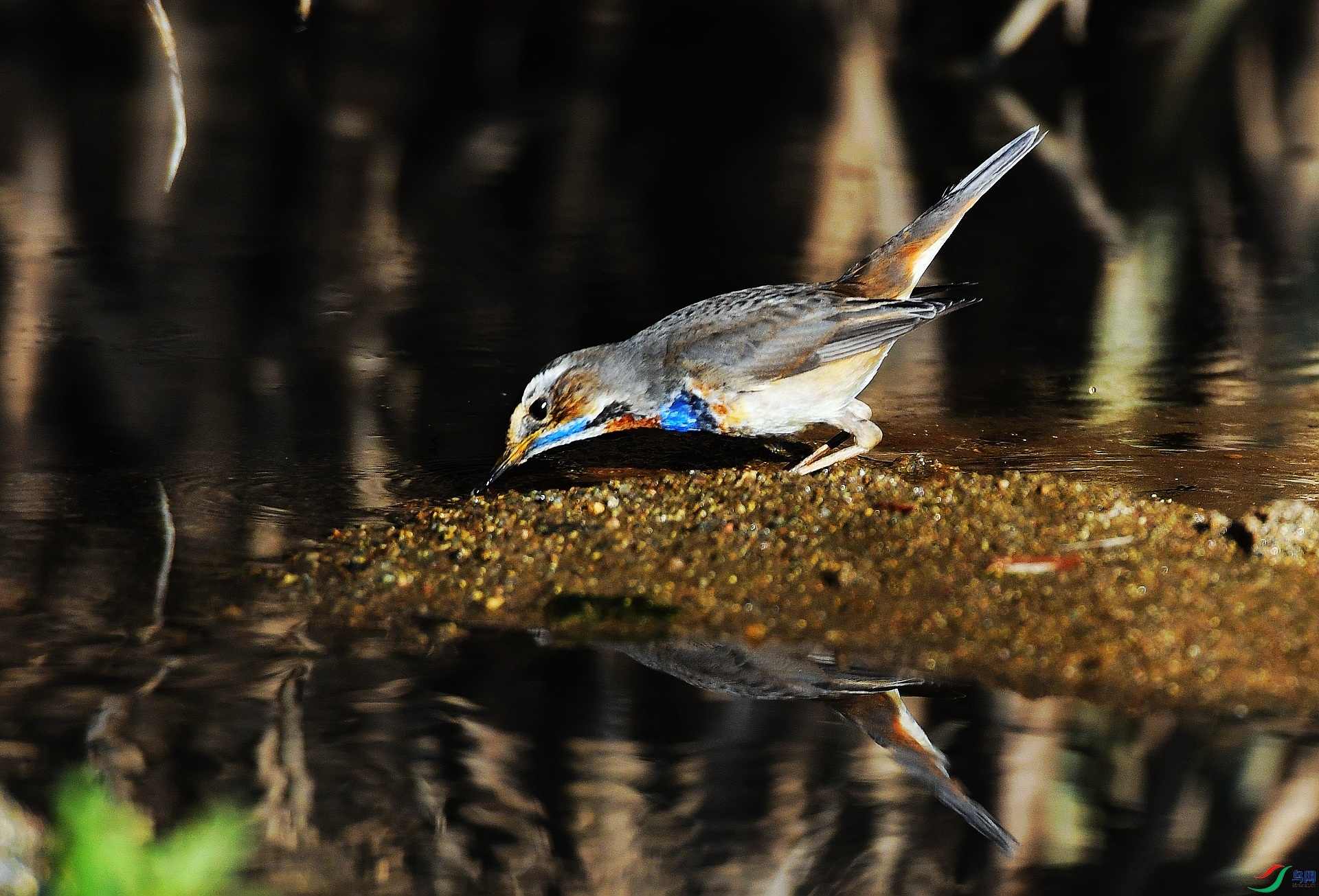 DSC_5173.jpg