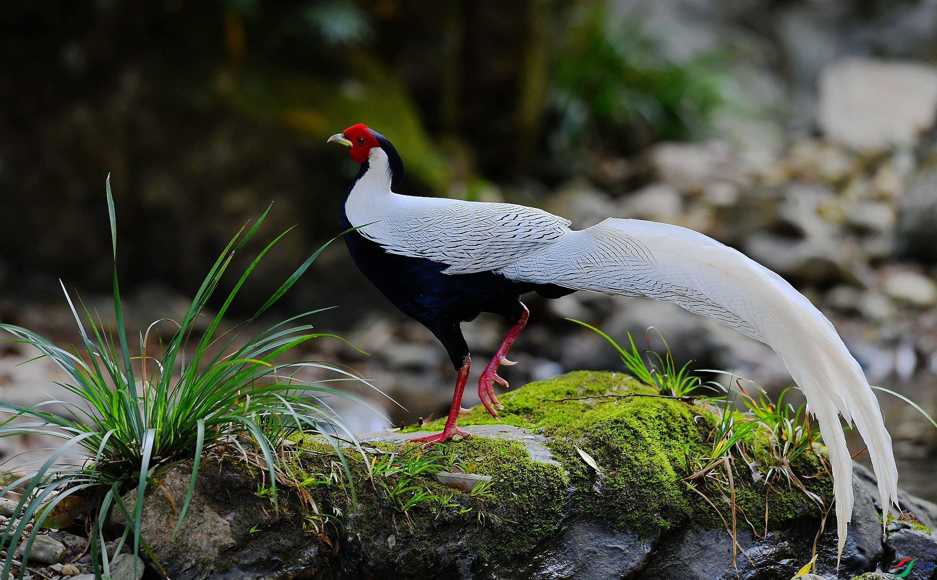 DSC_8044.jpg