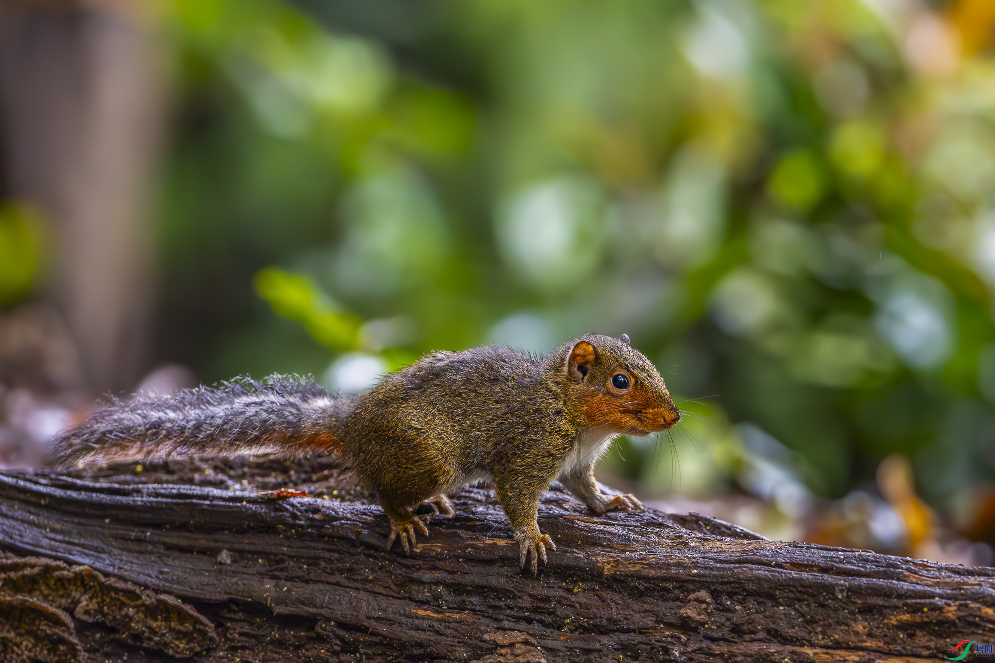 _DSC6664.jpg