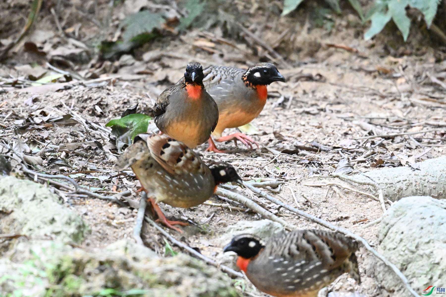 DSC_7354.JPG