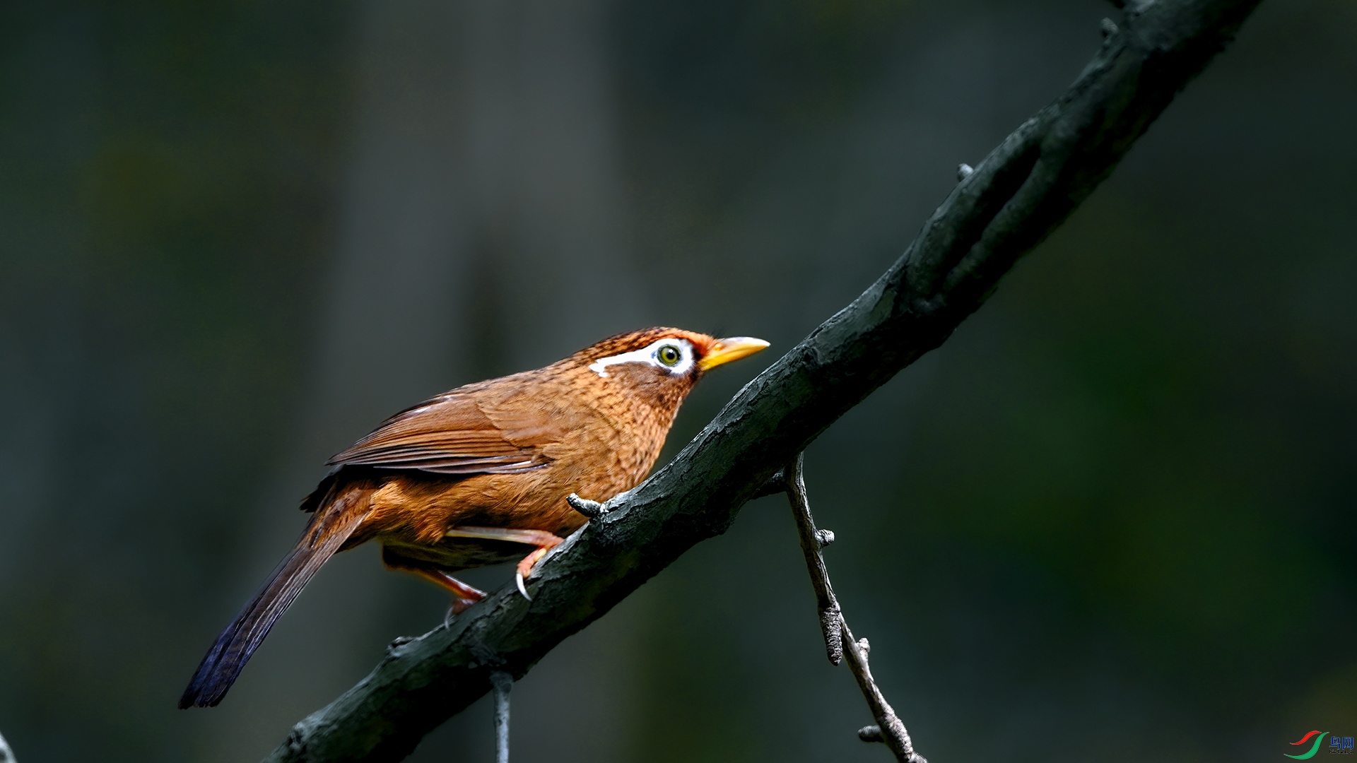 DSC_0150.jpg