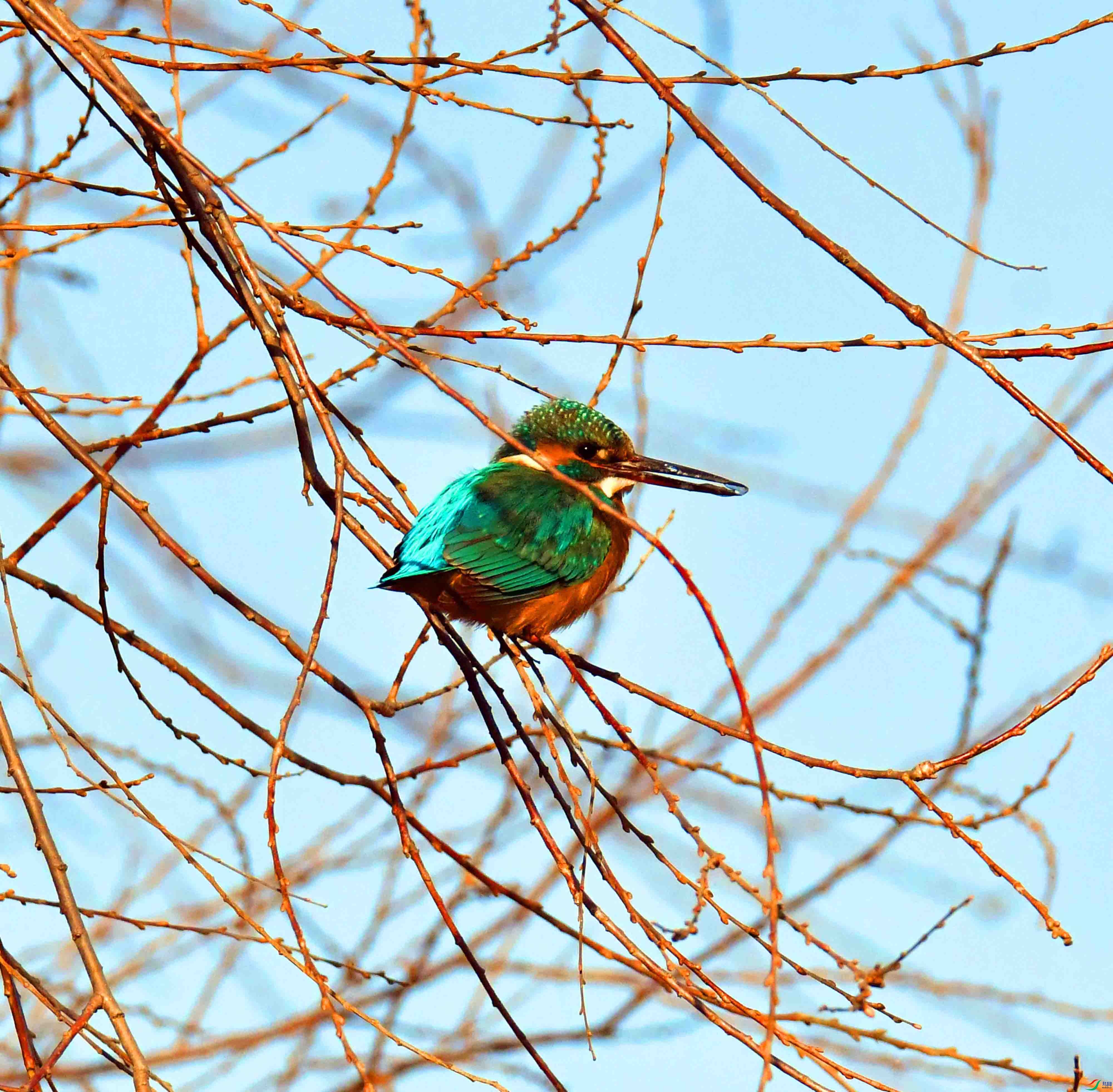 DSC_3757.JPG