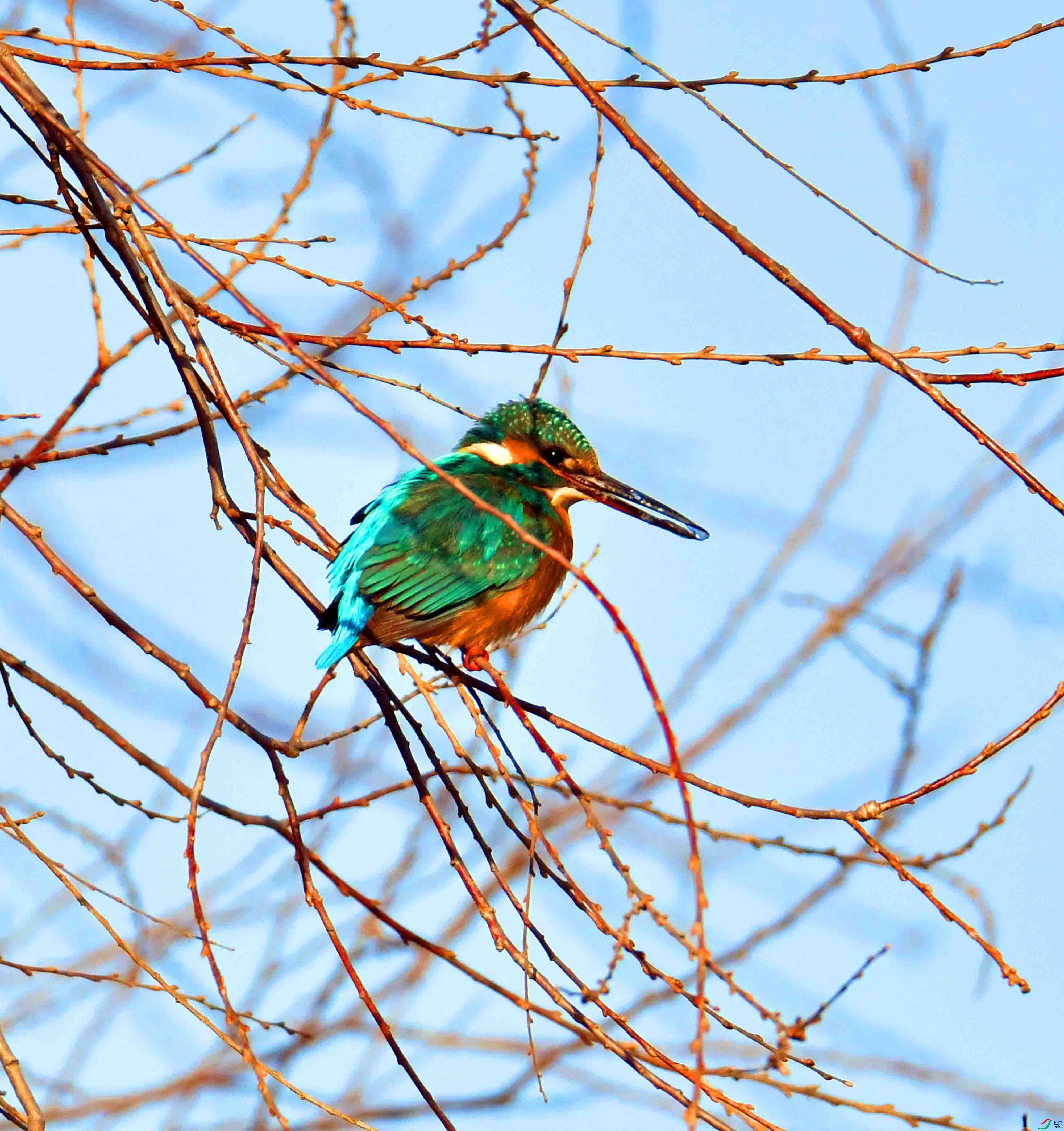 DSC_3750.JPG