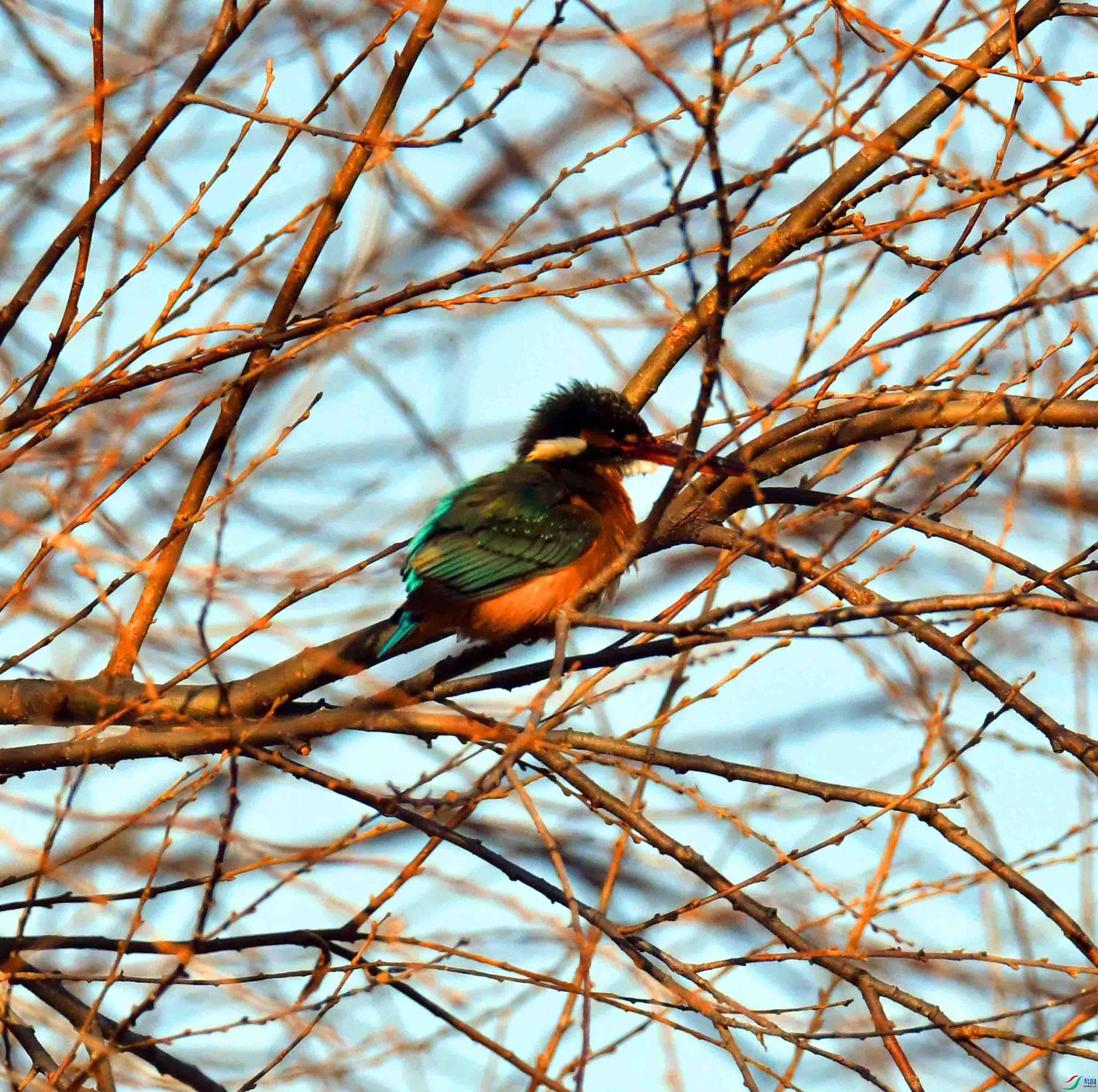 DSC_3775.JPG