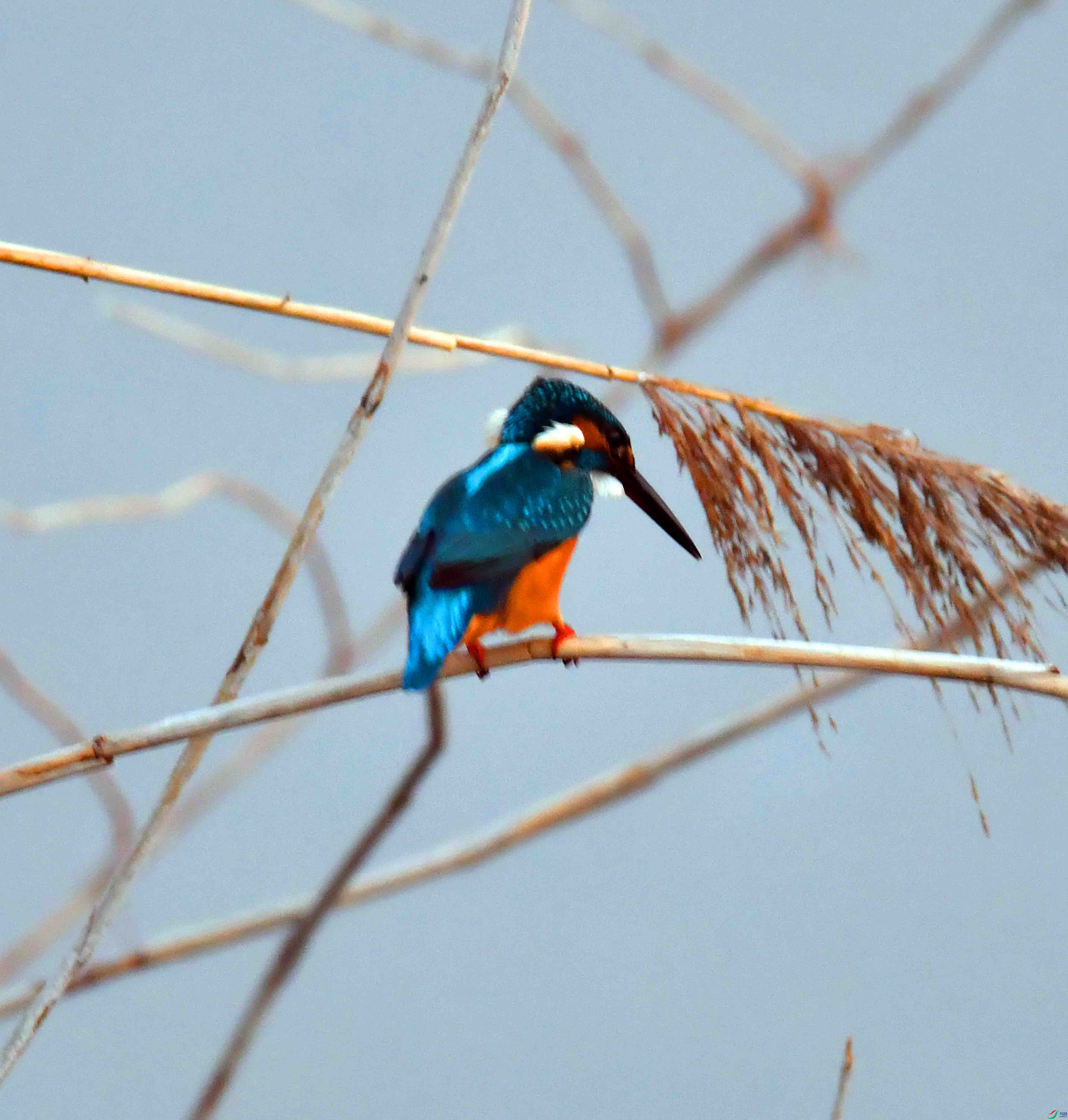 DSC_8153.JPG