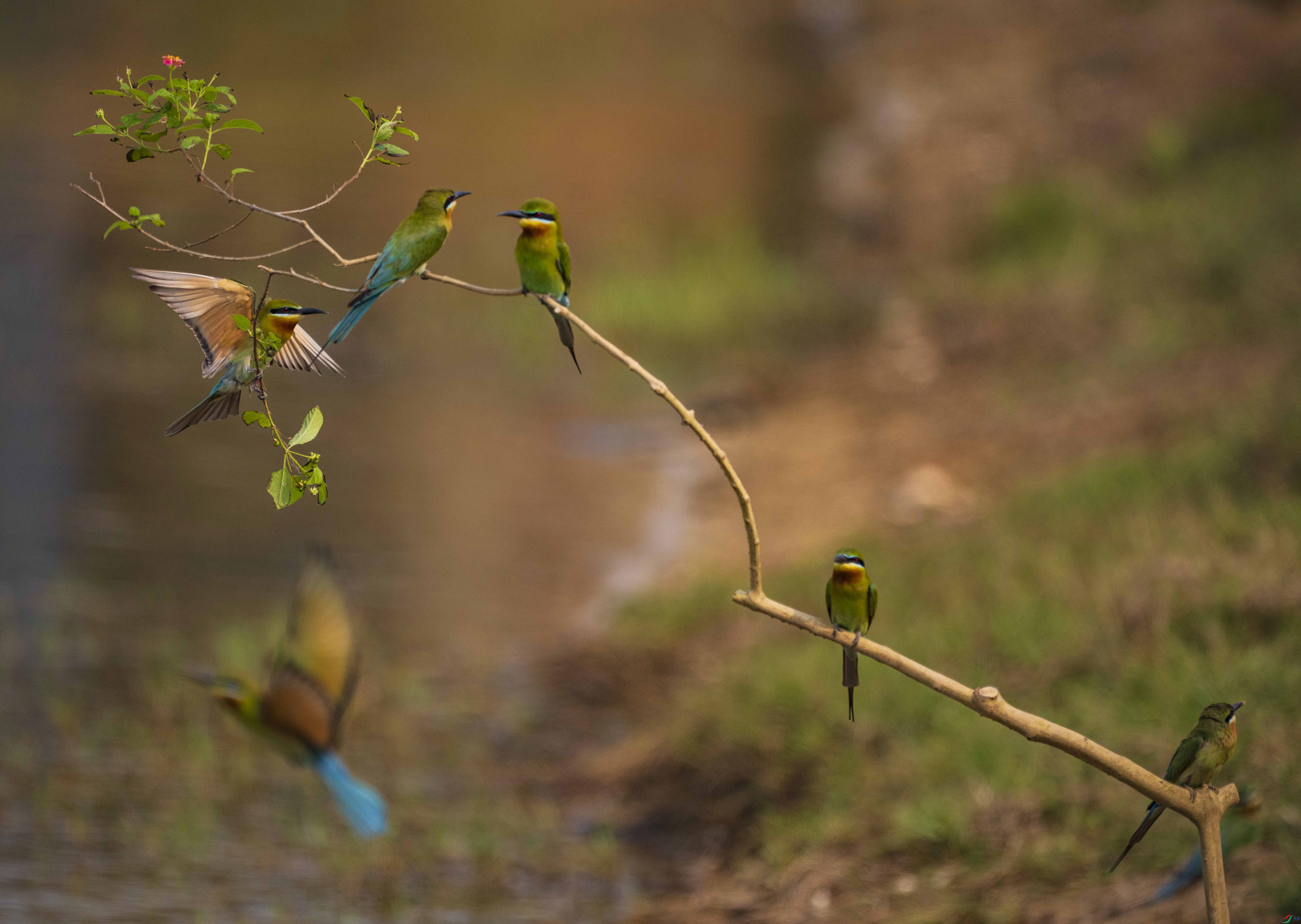 ���� �˾� �����仢