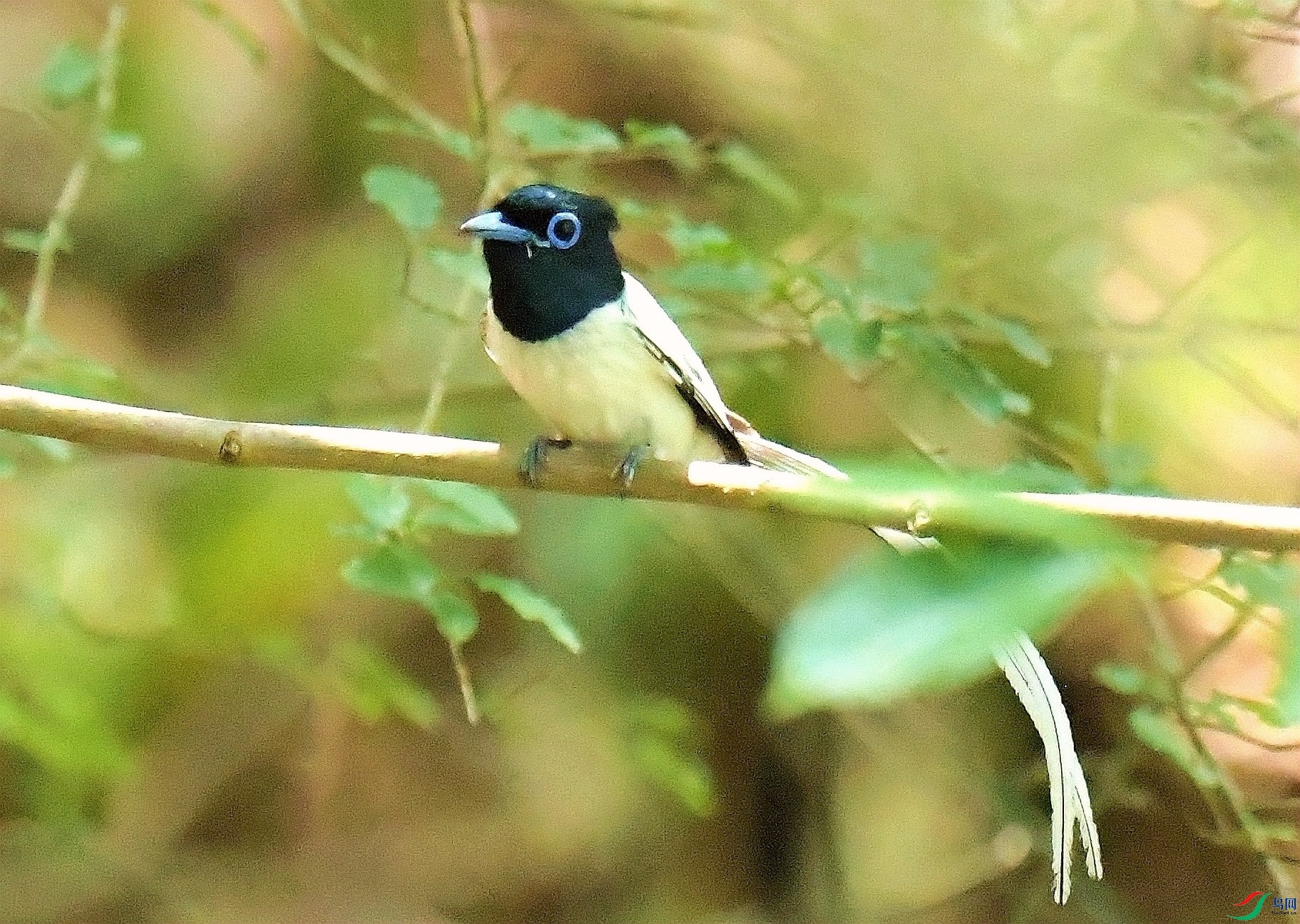 DSC_7294.JPG