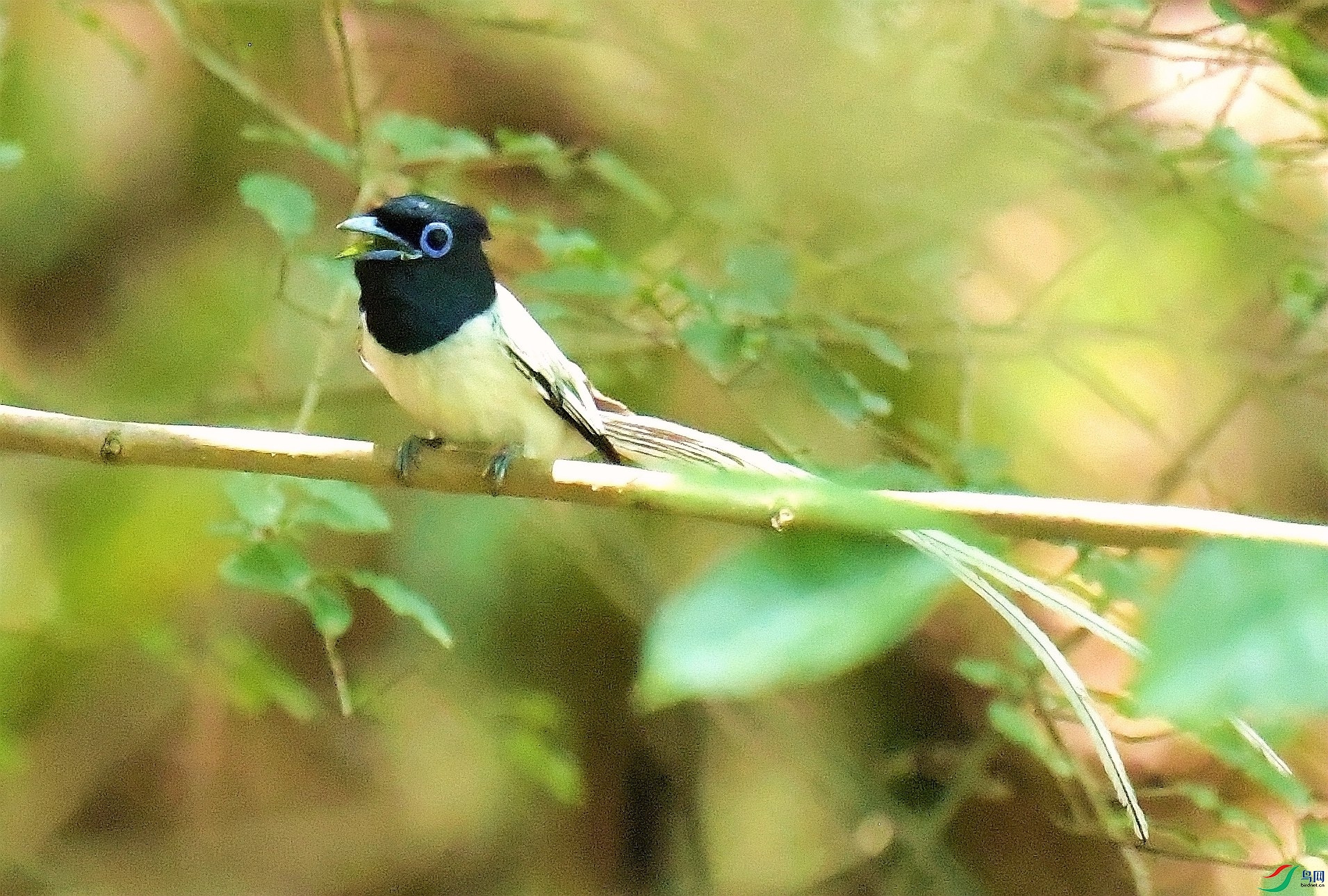DSC_7293.JPG