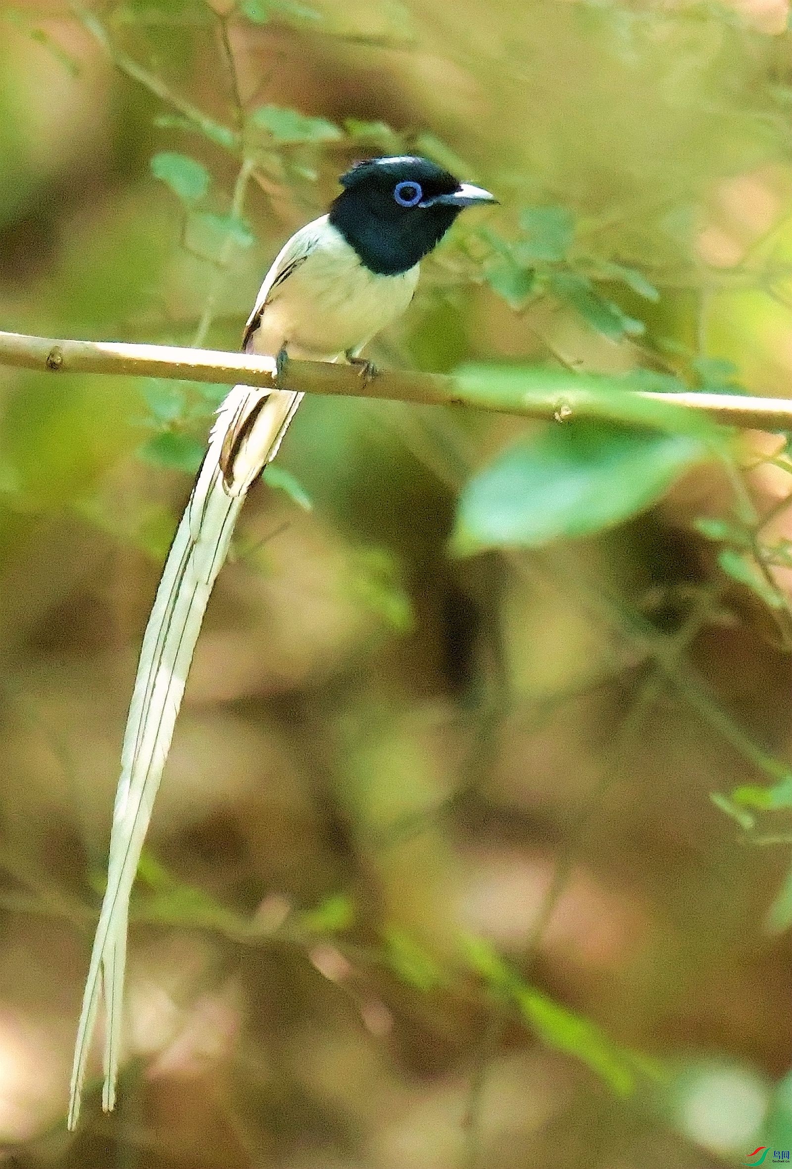 DSC_7286.JPG