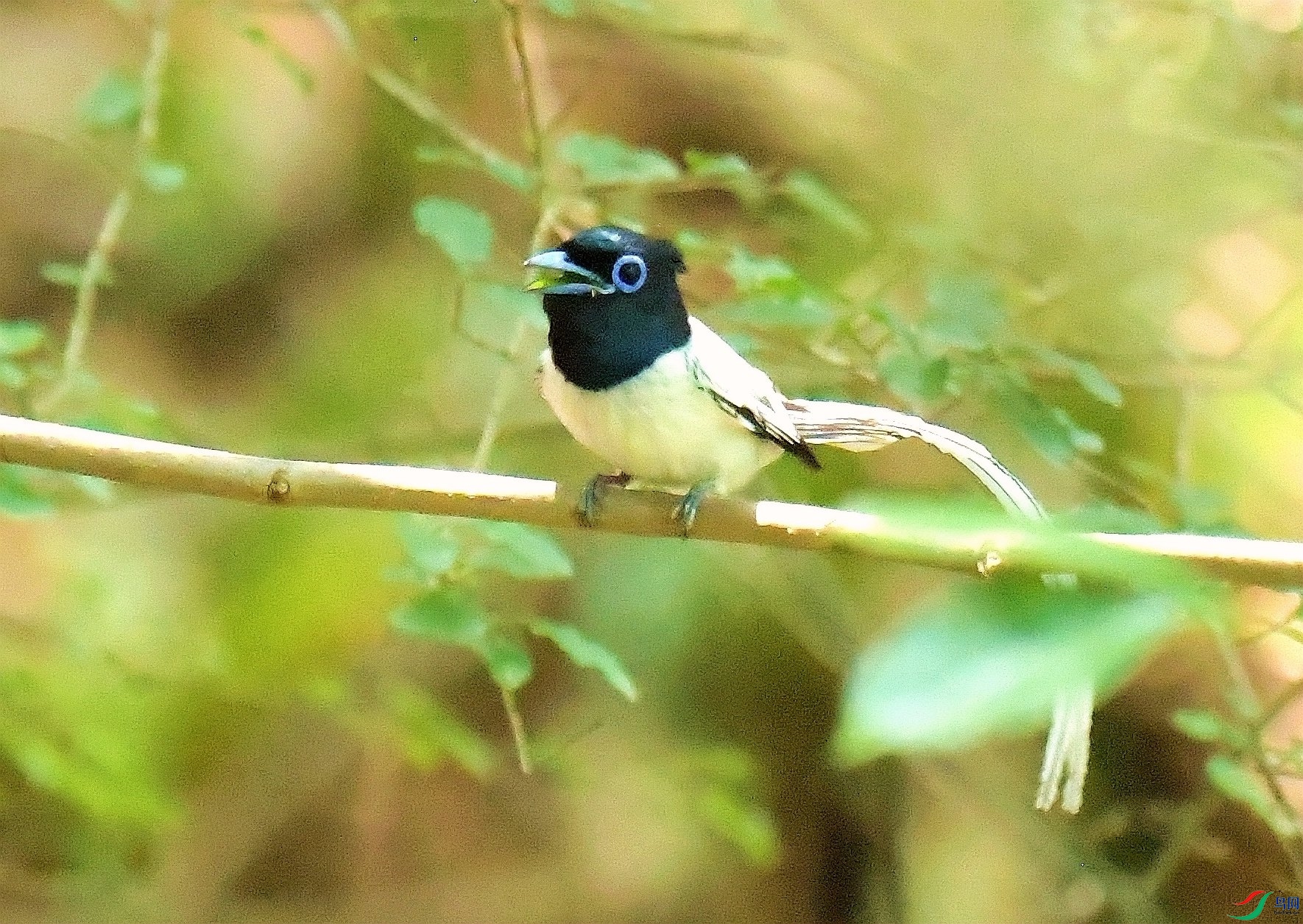 DSC_7291.JPG