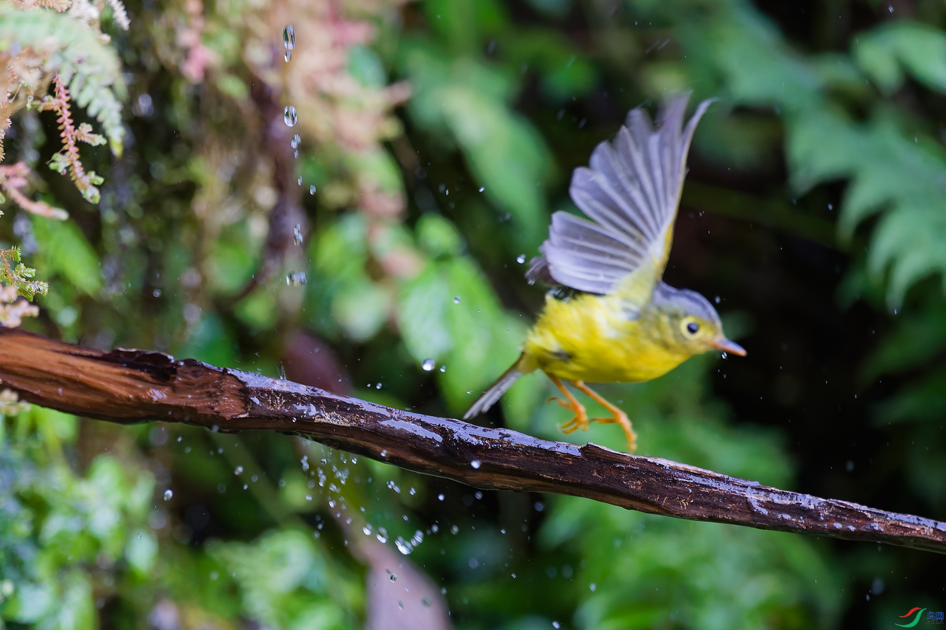 DSC_2340_DxO_DxO.jpga.jpg