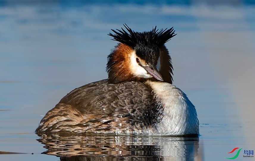 DSC_7729-DxO_DeepPRIME XD2s-2.jpg
