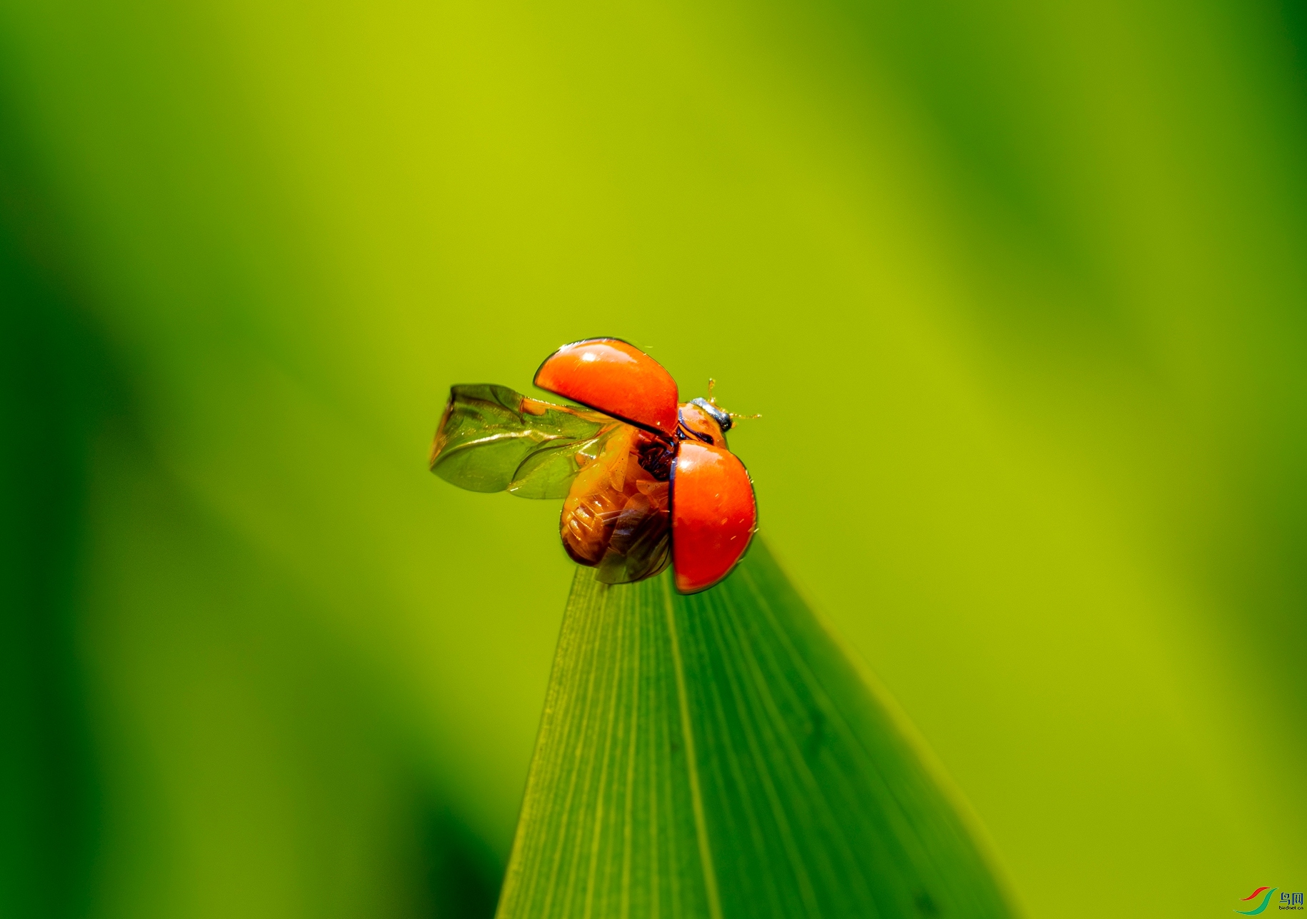 P4044789 ����_����.jpg