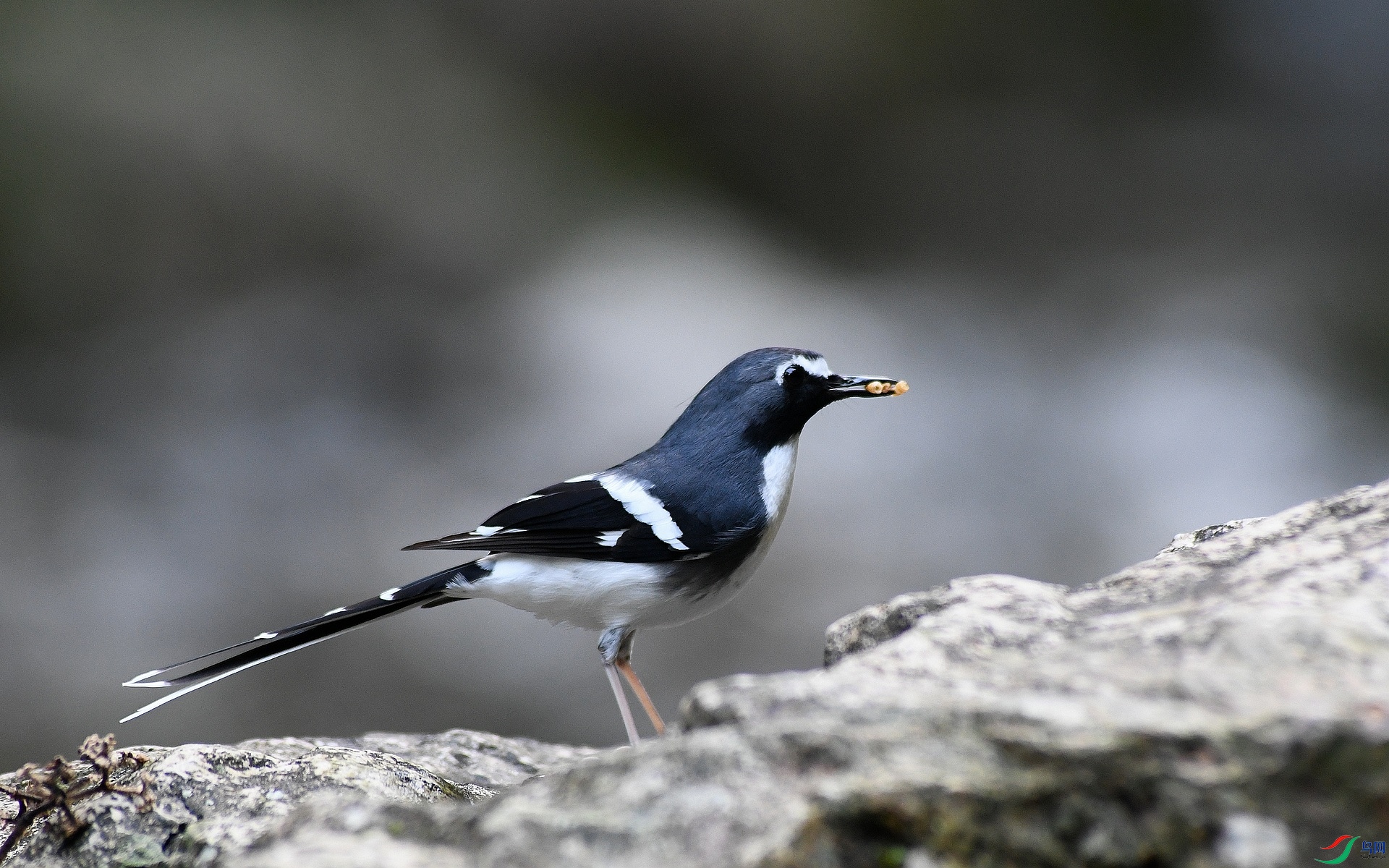 DSC_1569.jpg