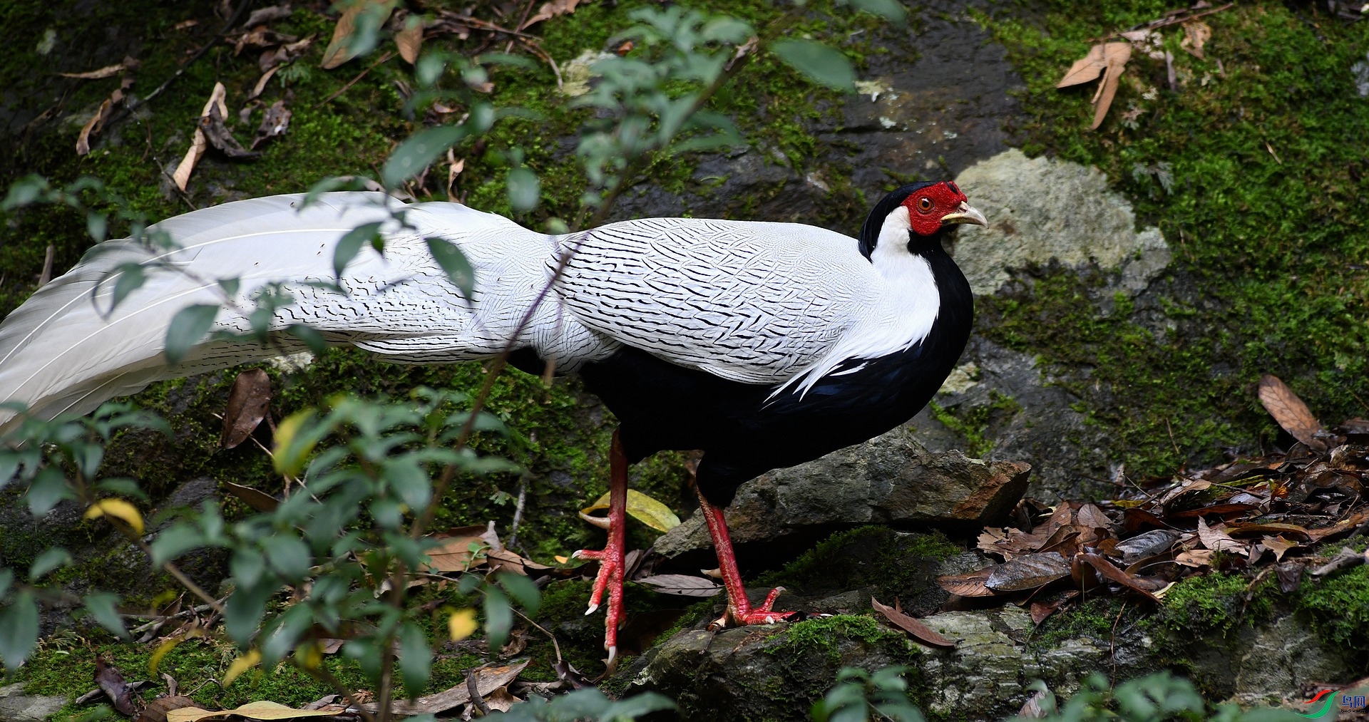 DSC_1167.jpg