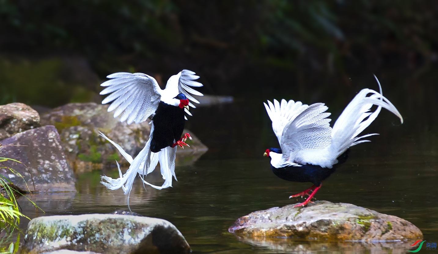 B42A8480.jpg
