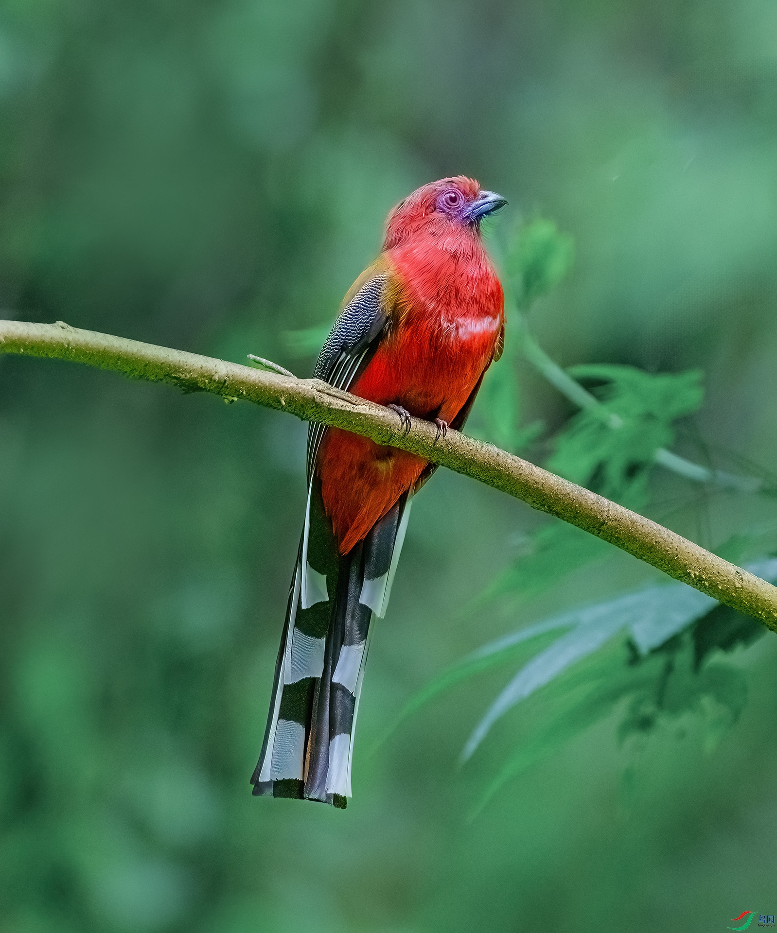 DSC_1252.jpg111.jpg