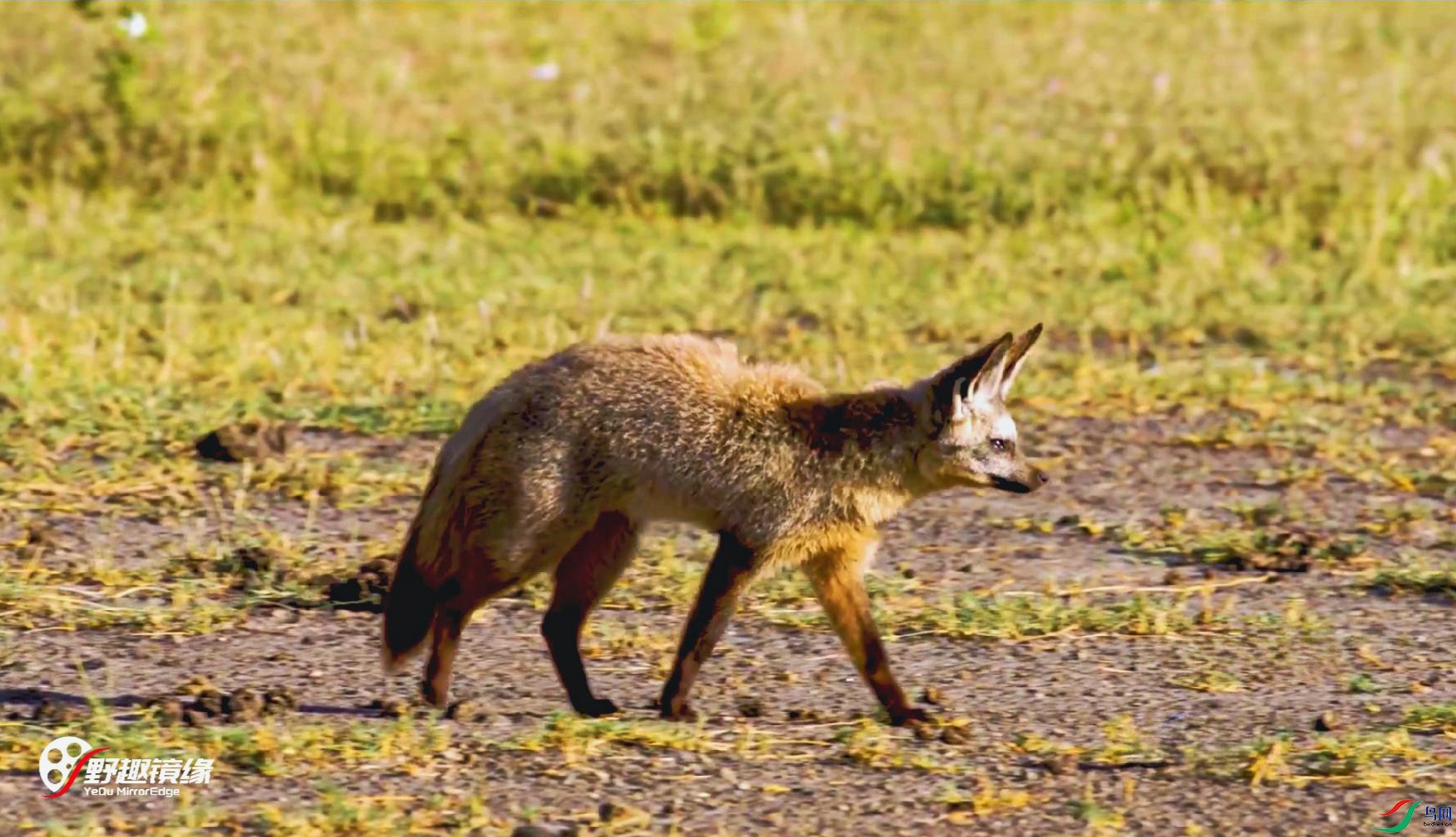 �������B