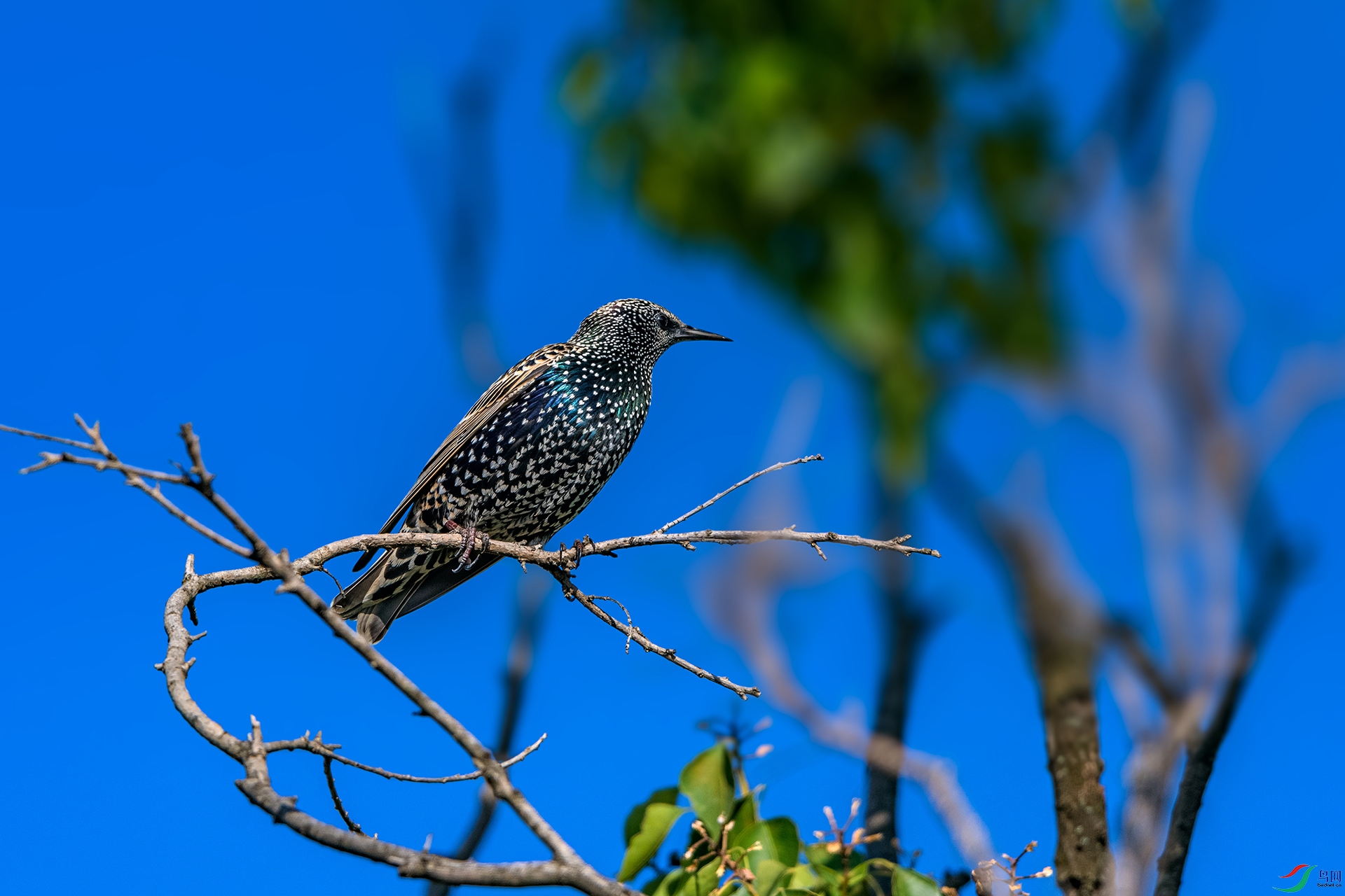 _AUU0943 �ϳ����(25.11.25).jpg