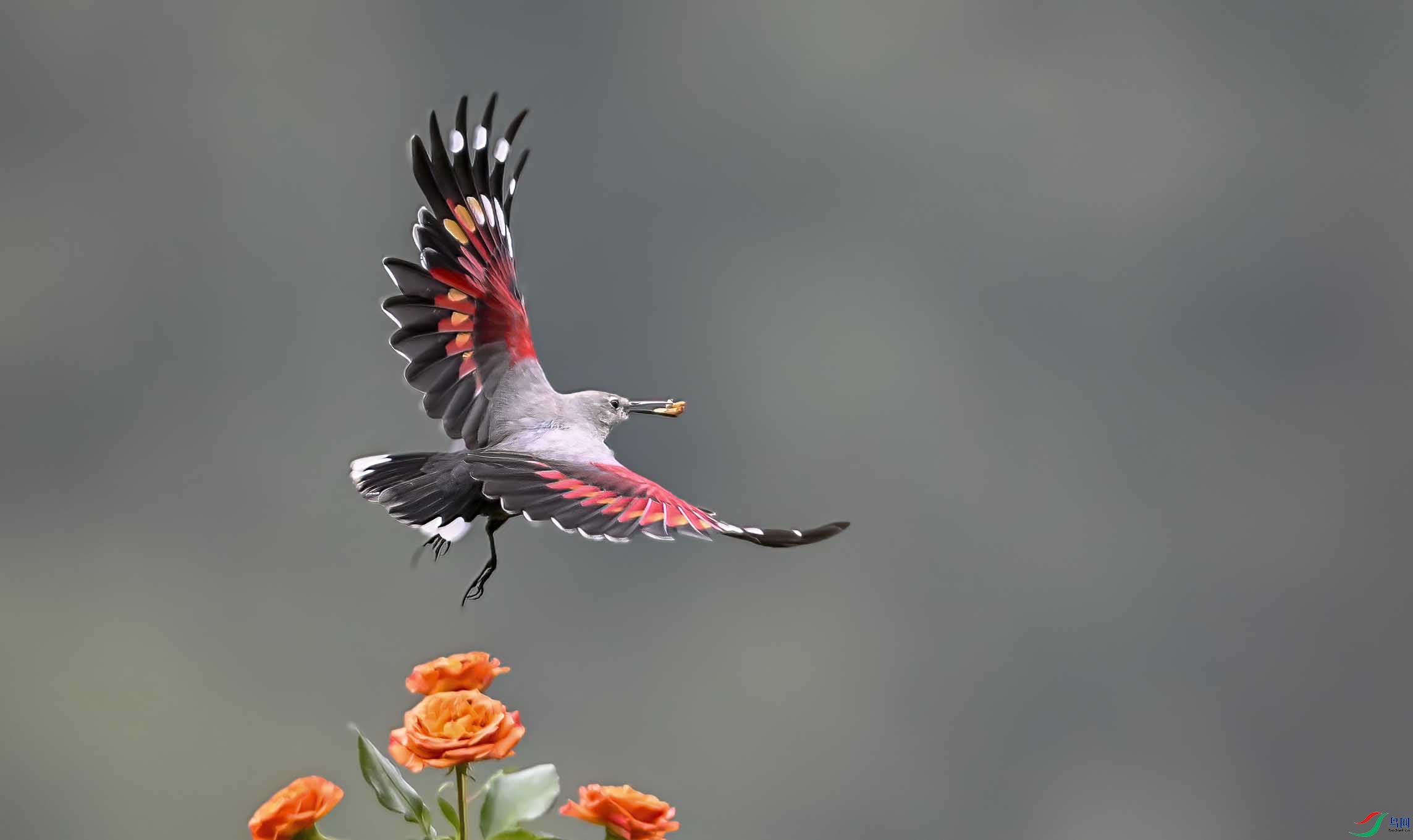 _DSC0715 ����.jpg