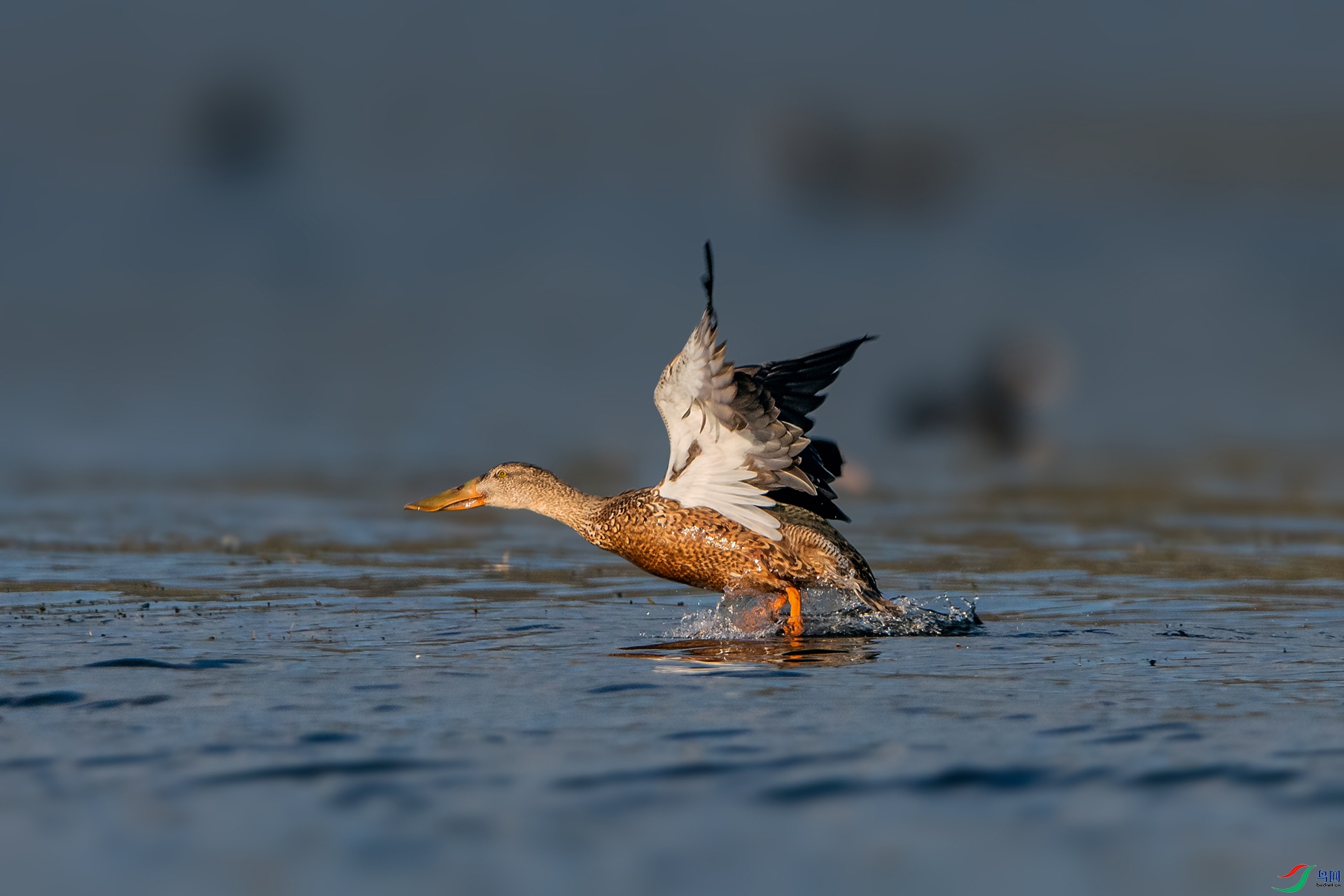 _AUU1785���(24.11.19).jpg