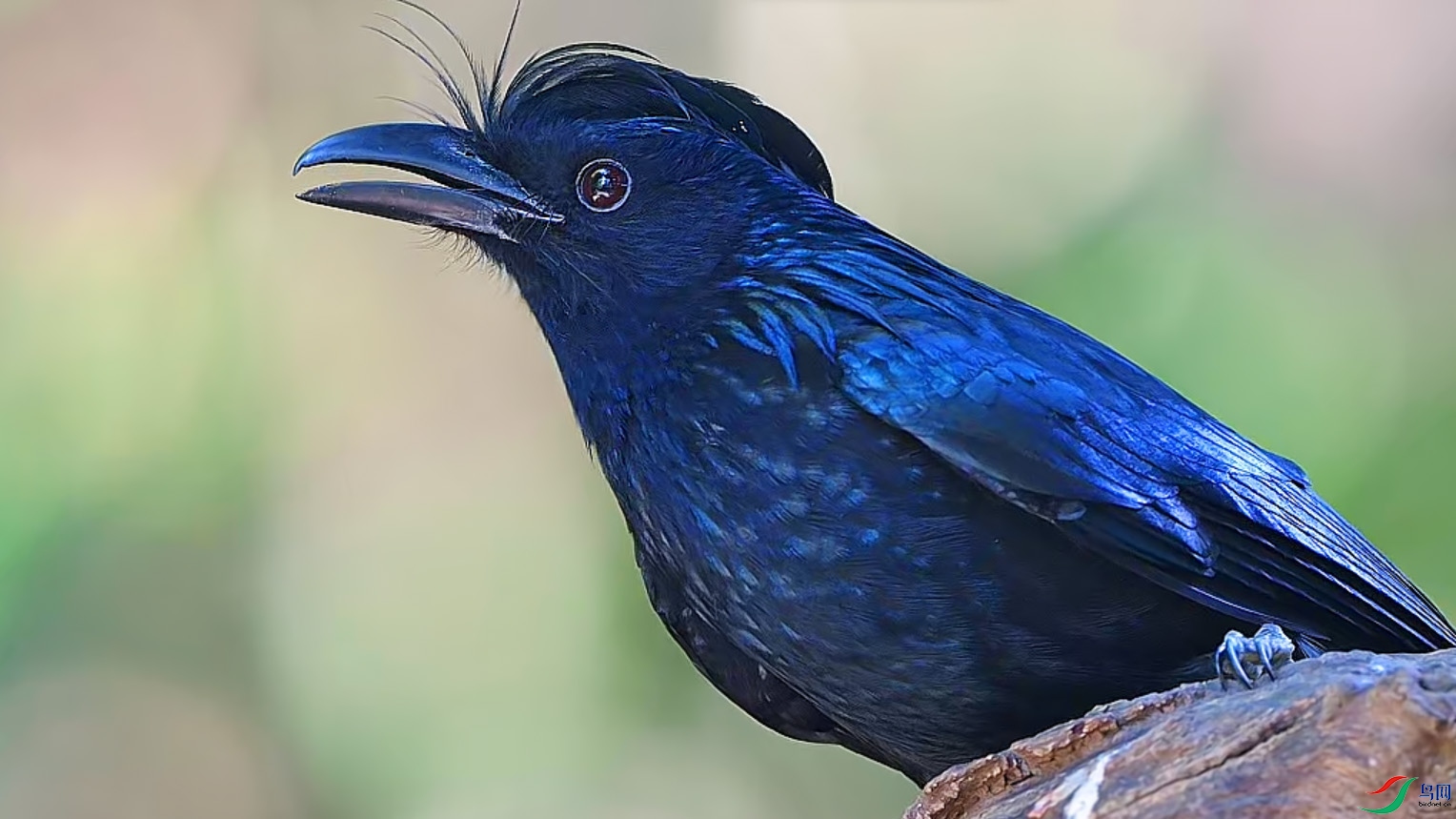 {12B9CE59-0093-4DD2-B575-3CF0AF813BEF} ����.jpg