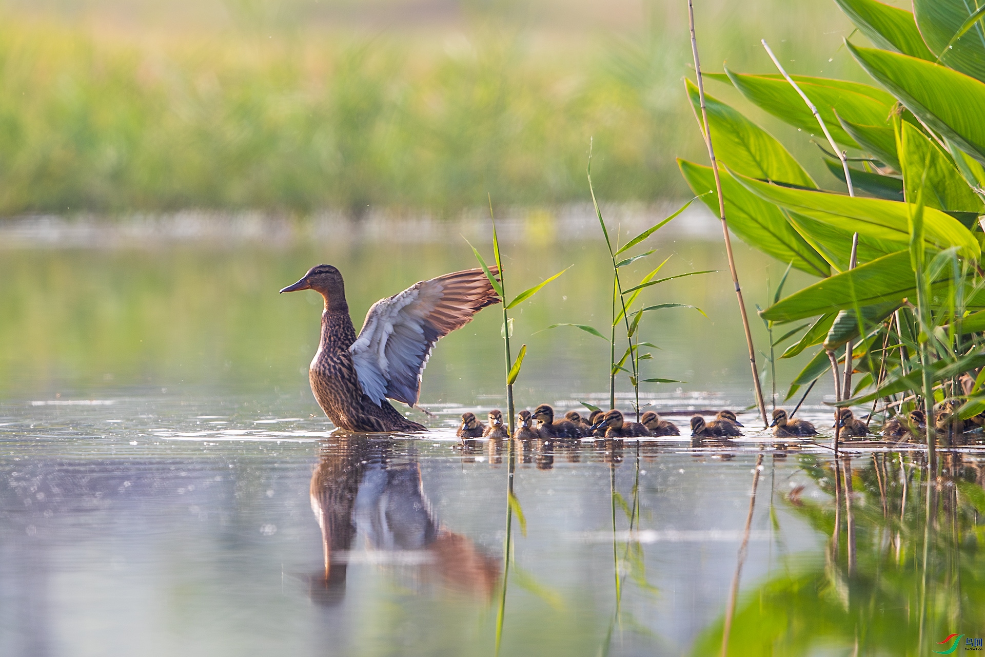 BU3I2538 ����.jpg