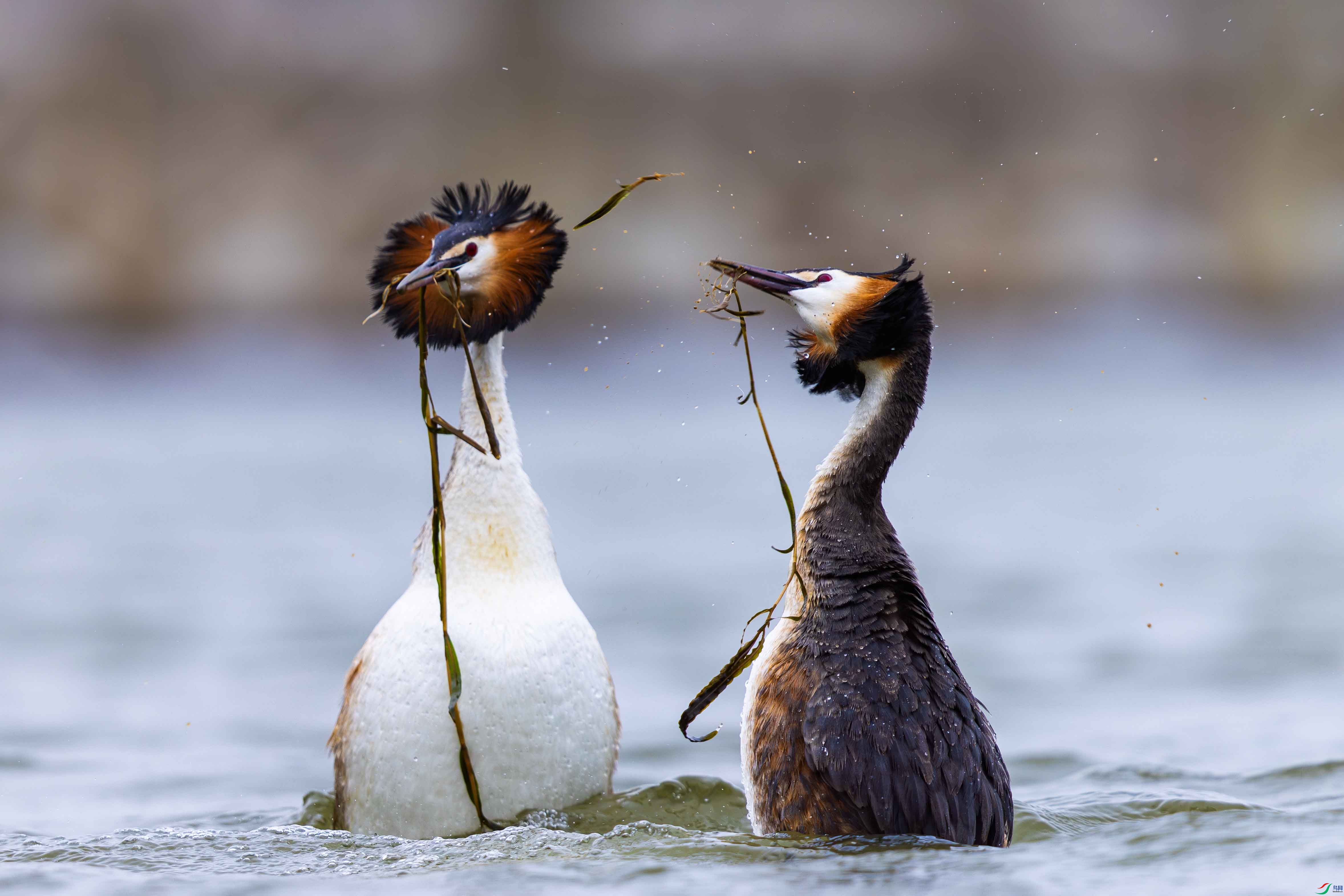 6L4A1872 ����.jpg