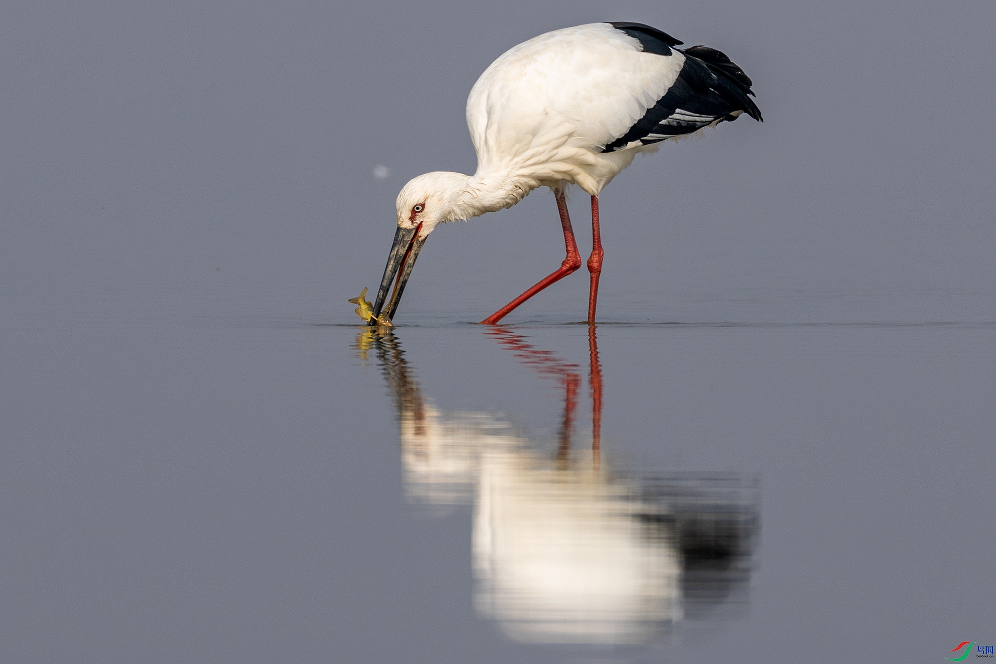 _B8A4941 ����22.jpg