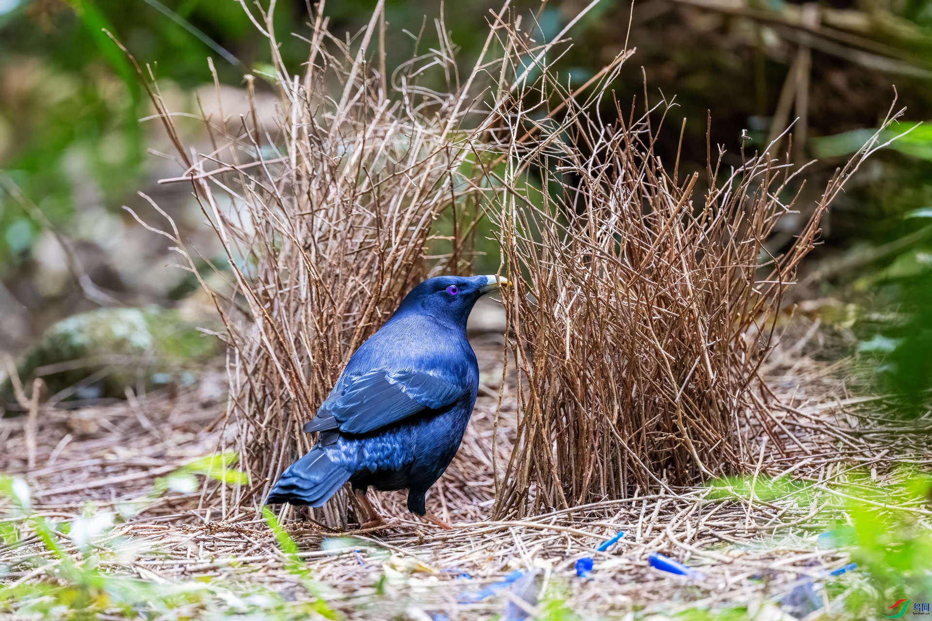 DSC_7434.jpg