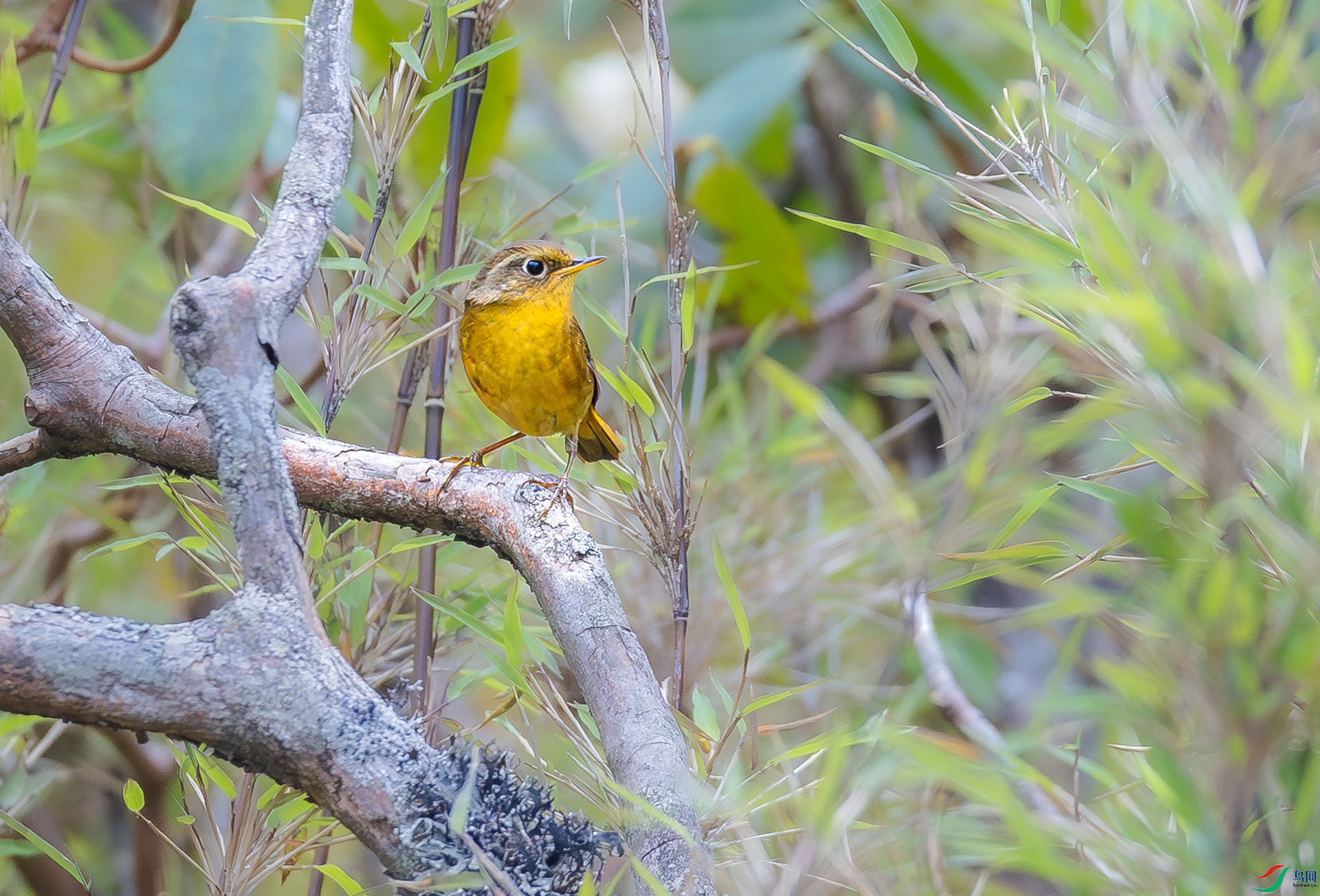 4540 ����.jpg