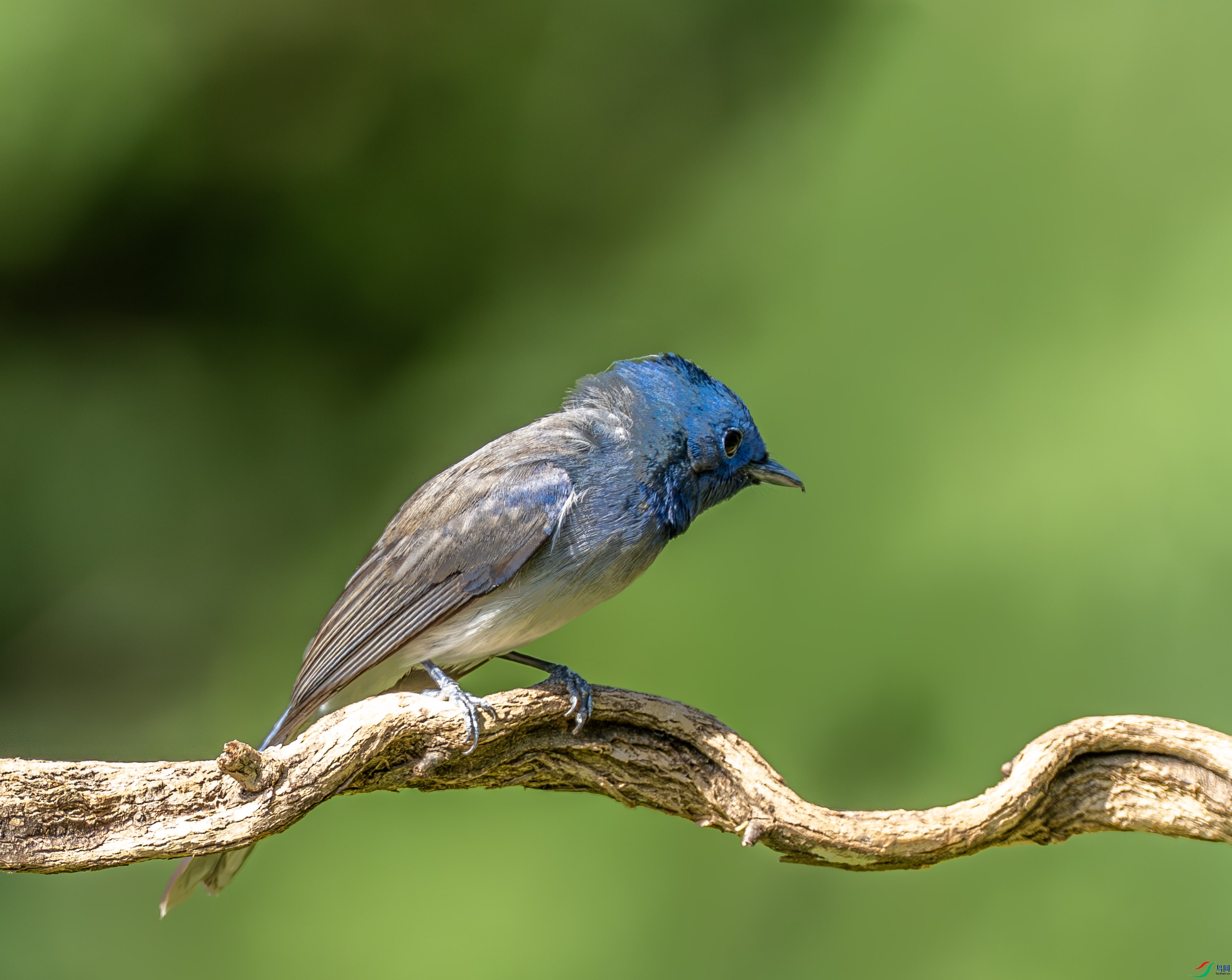 �������l-01-6.jpg