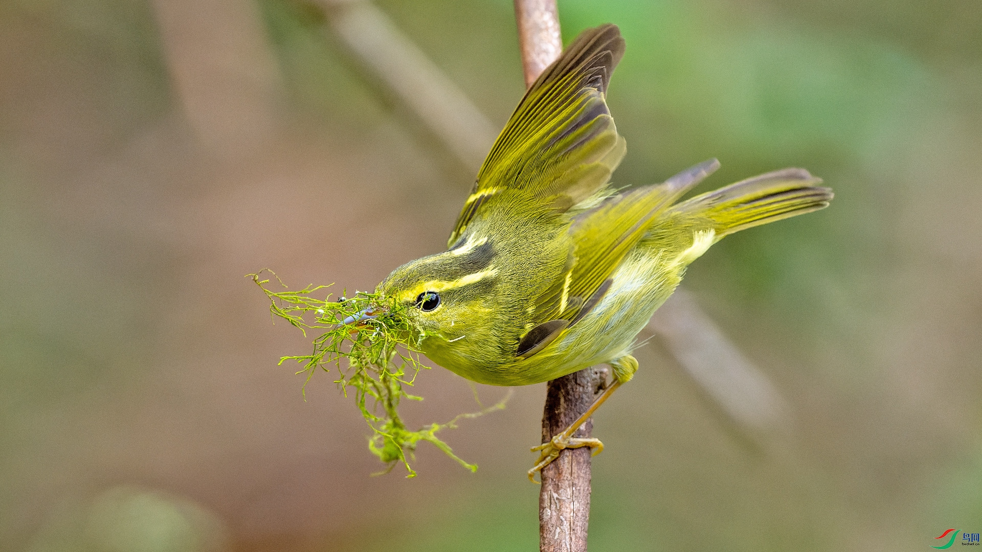 26.03��LPY_2129.jpg