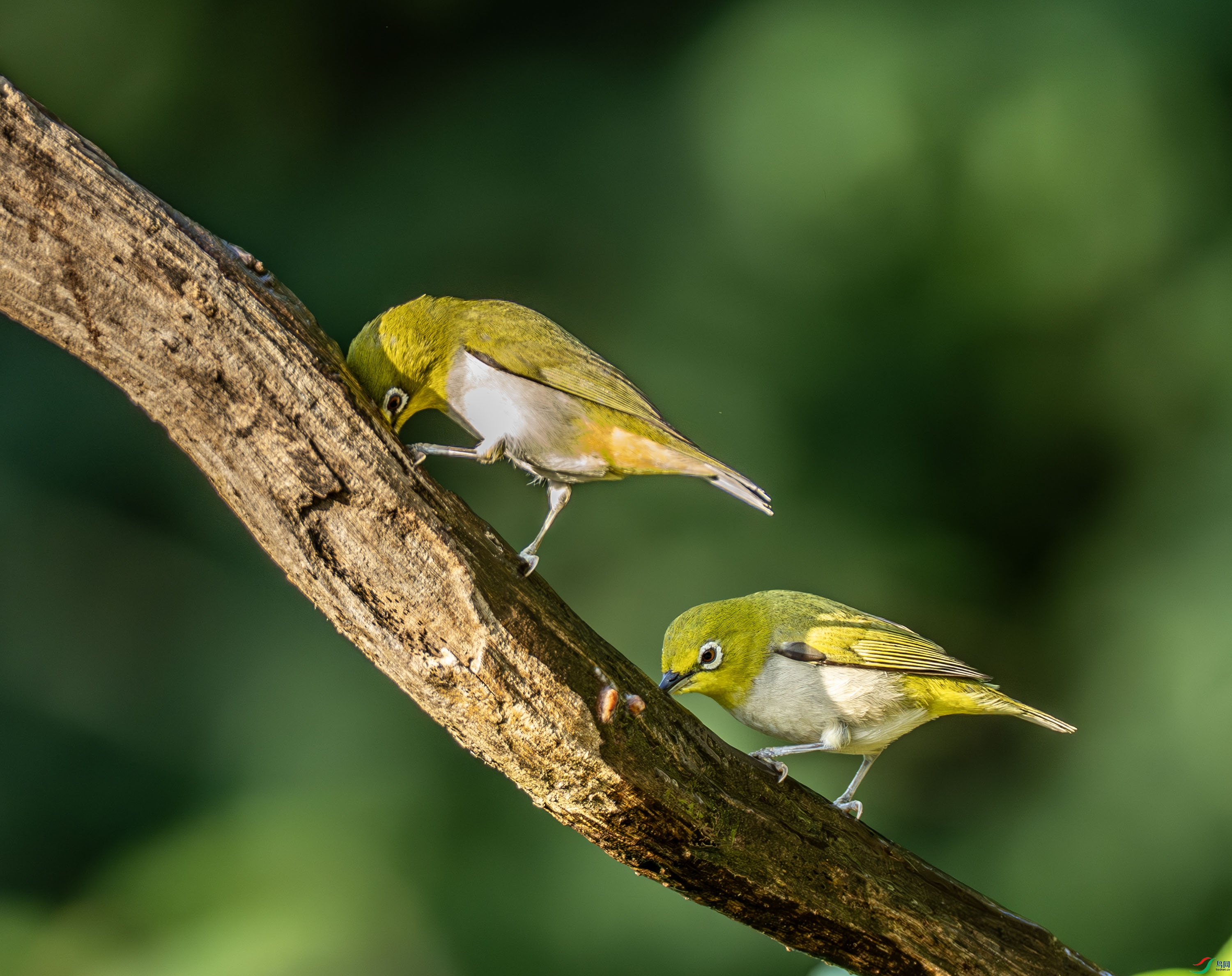 �Ҹ�������-01-9.jpg