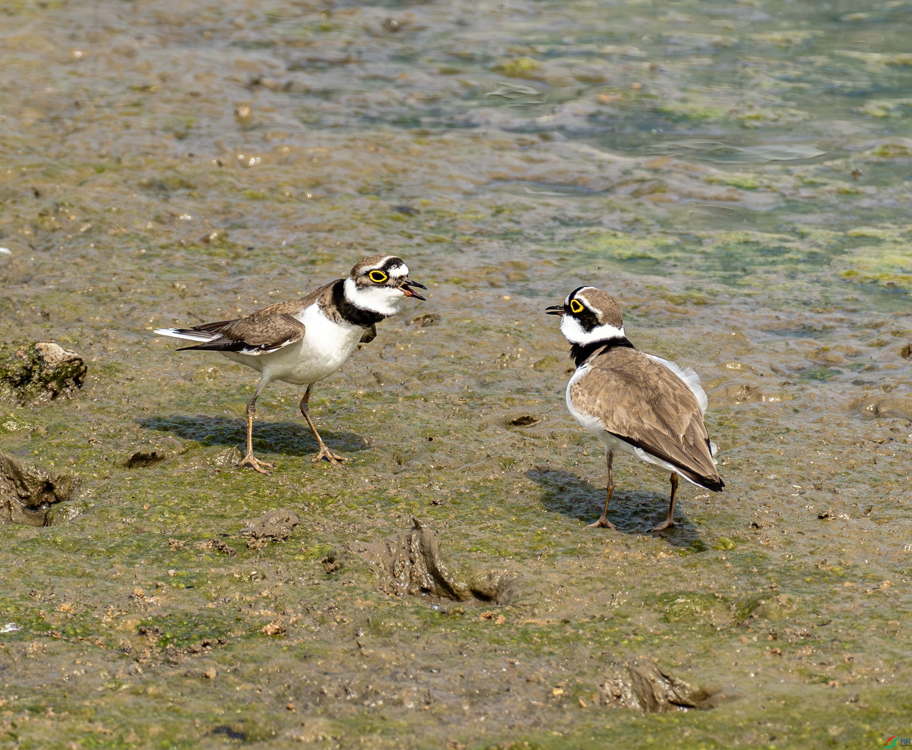 ����a (1 - 8).jpg